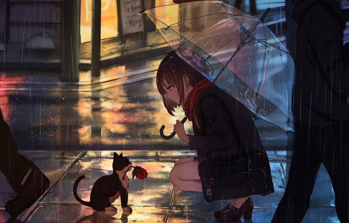 Wallpaper Girl, Anime, Flower, Rain, Umbrella, Cat image