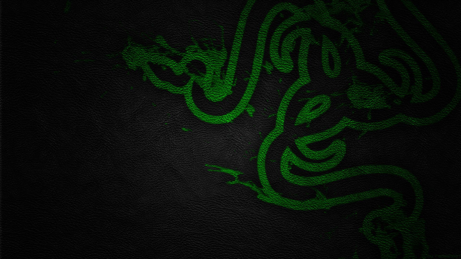Razer, Green, Gaming Series, Snake, Logo, Leather Wallpaper HD