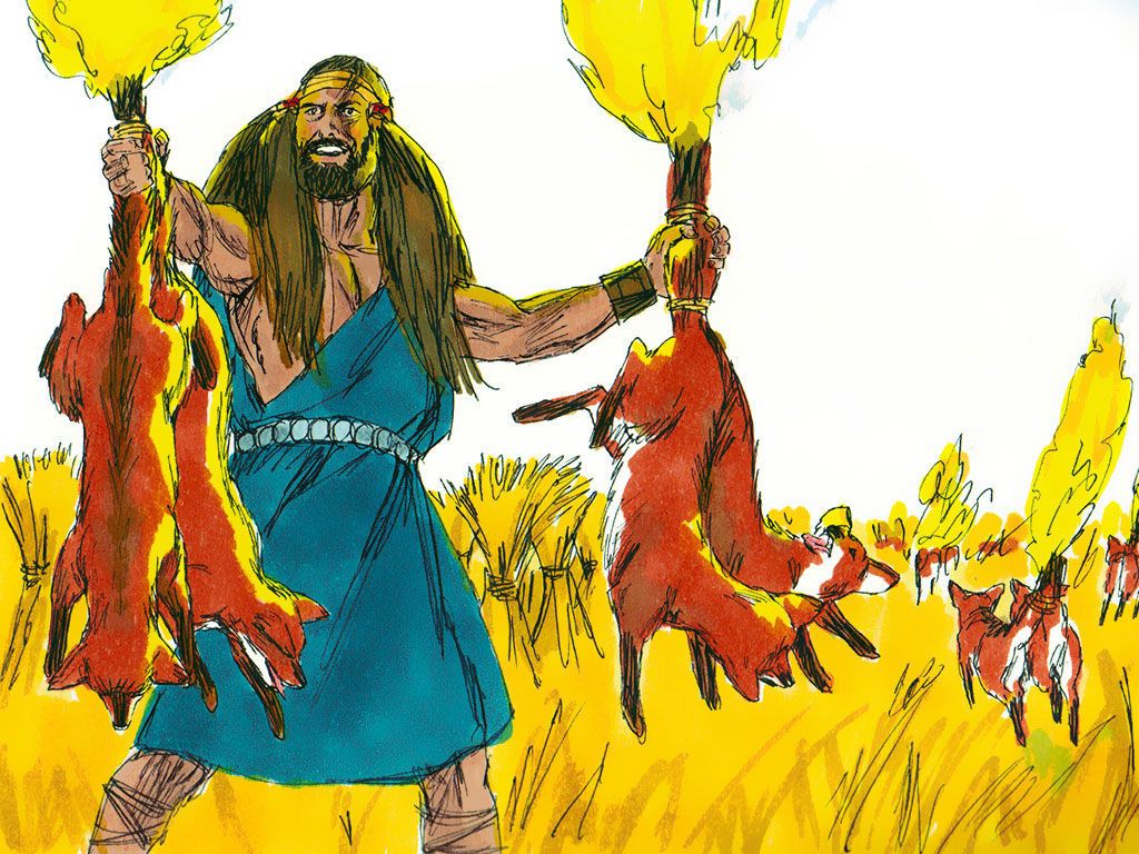 FreeBibleimage - Samson attacks the Philistines - Samson shows