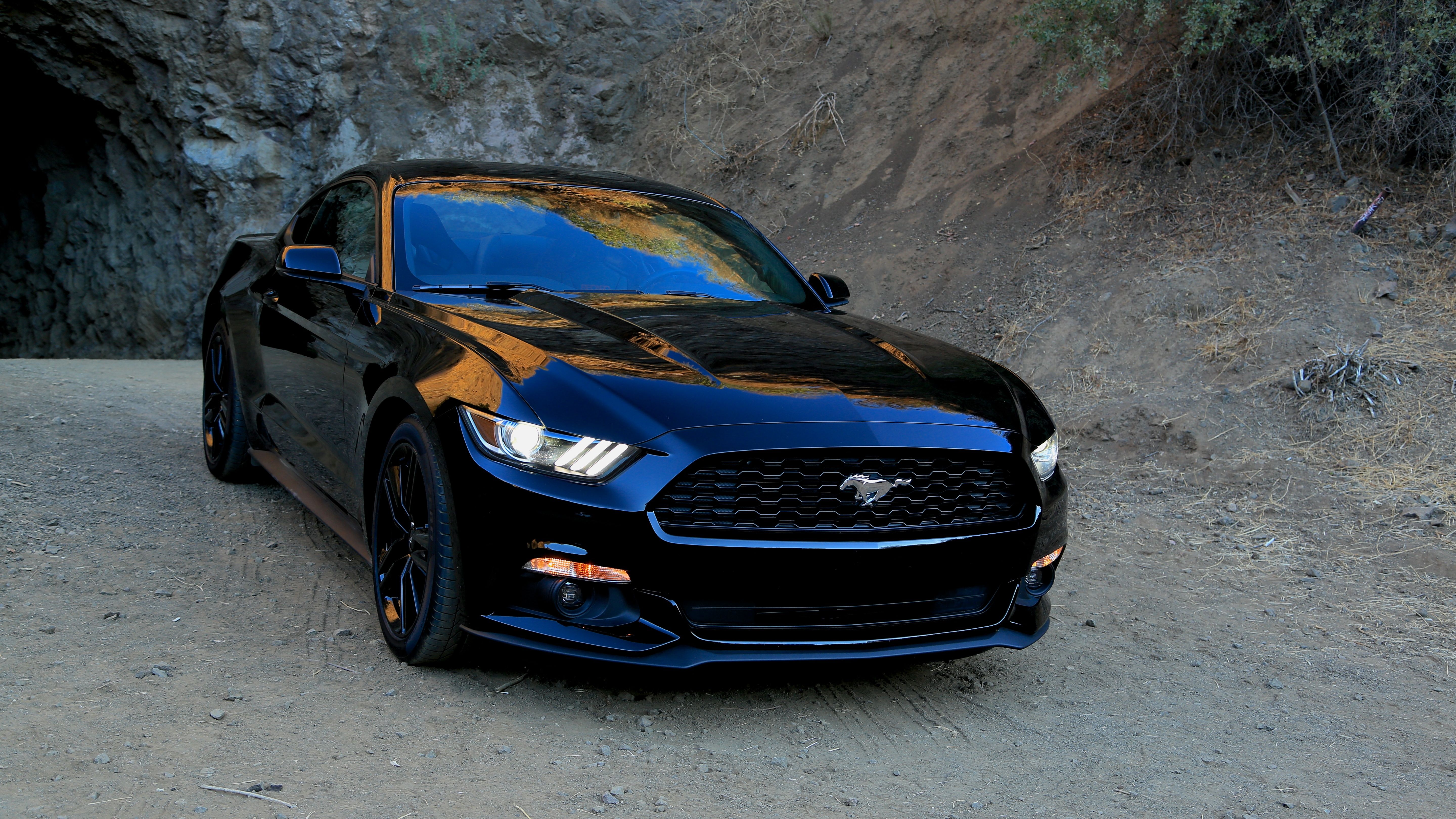 Comparing the price of the 2015 Ford Mustang and the 1965 edition