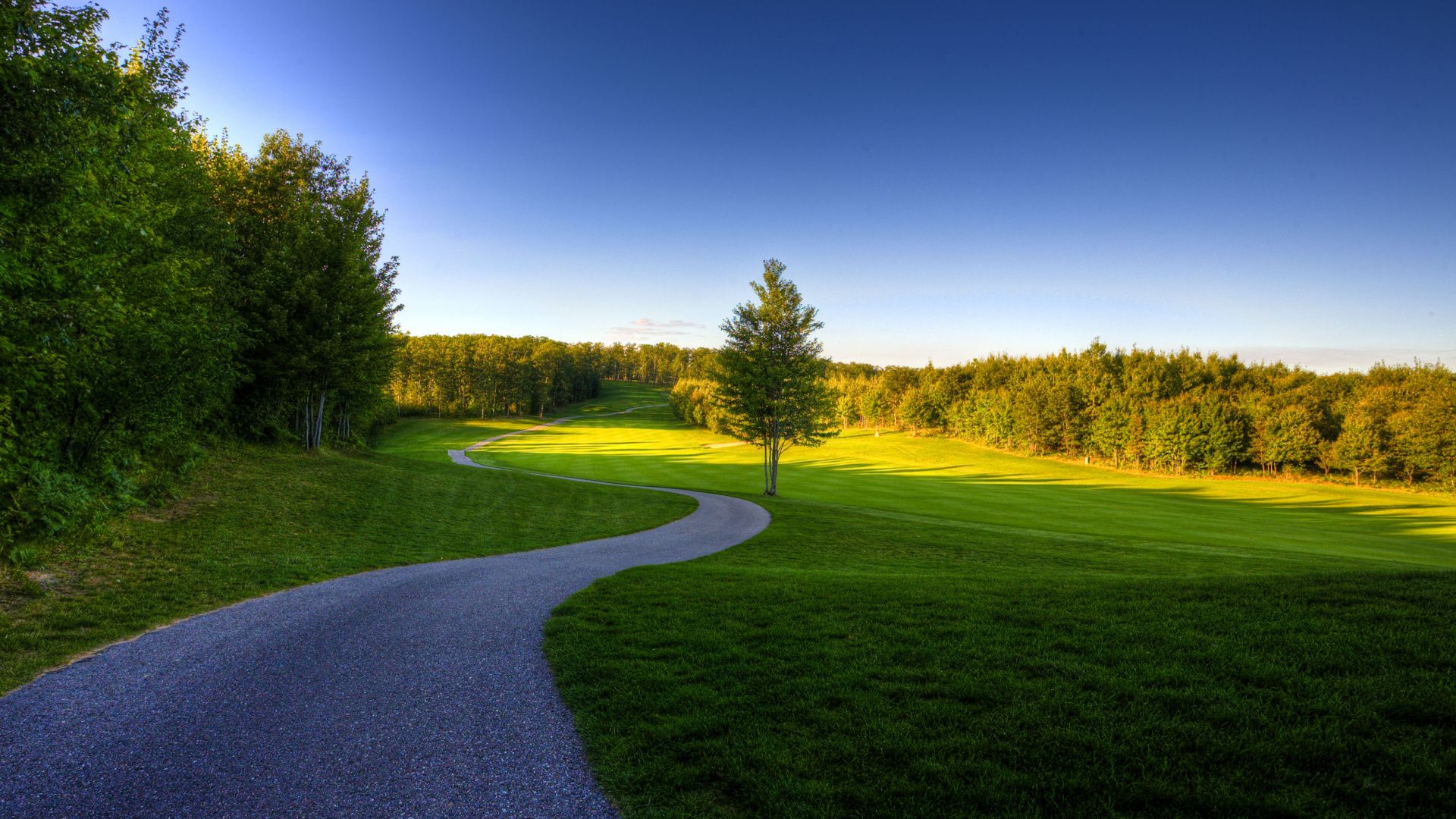 Landscape, Meadow, Grazing, Morning, Golf Course Wallpaper