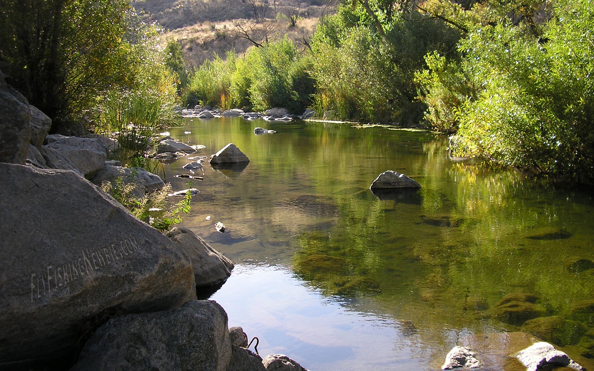 Fly Fishing Wallpaper Background