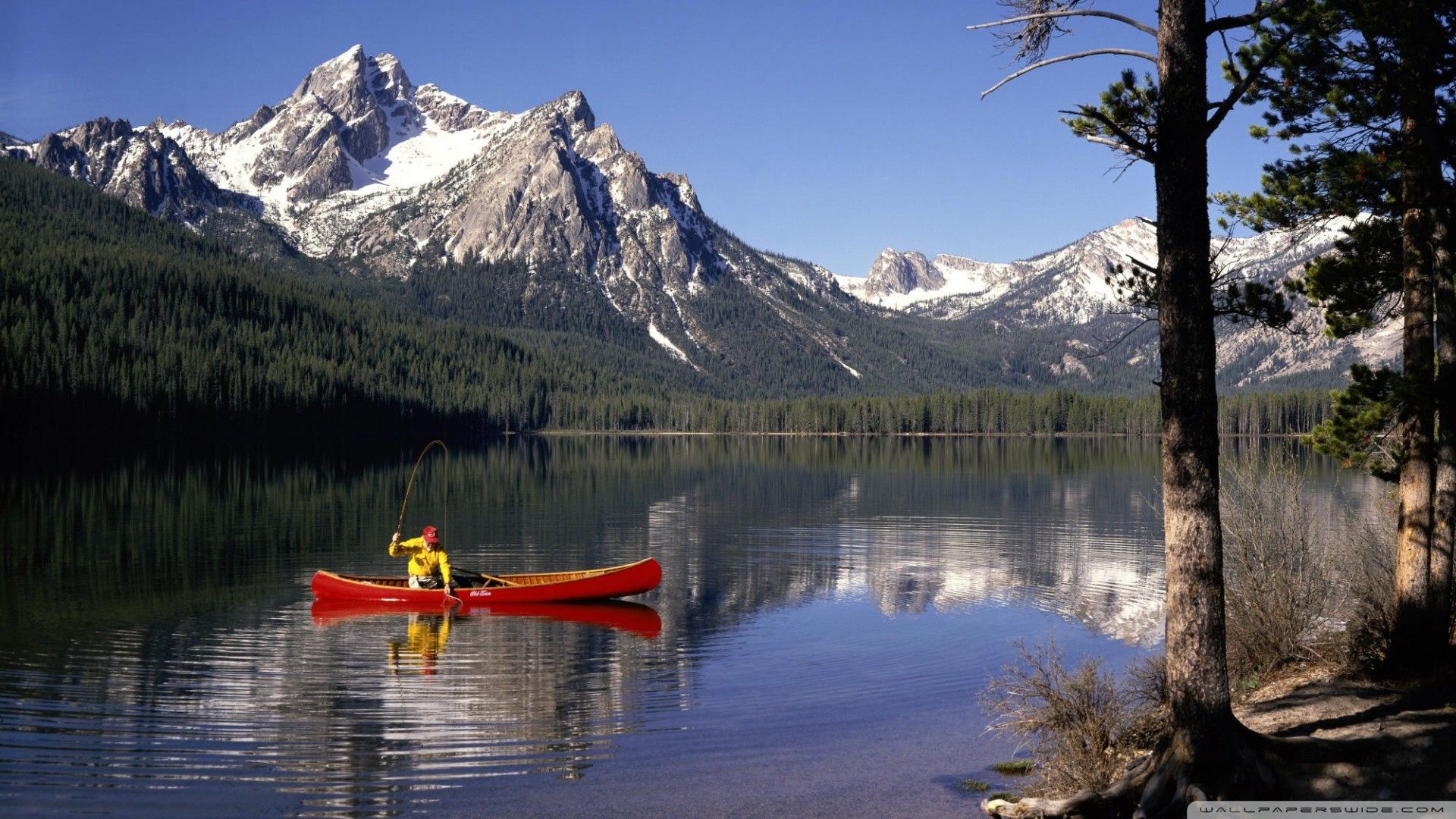 Fly Fishing Wallpaper