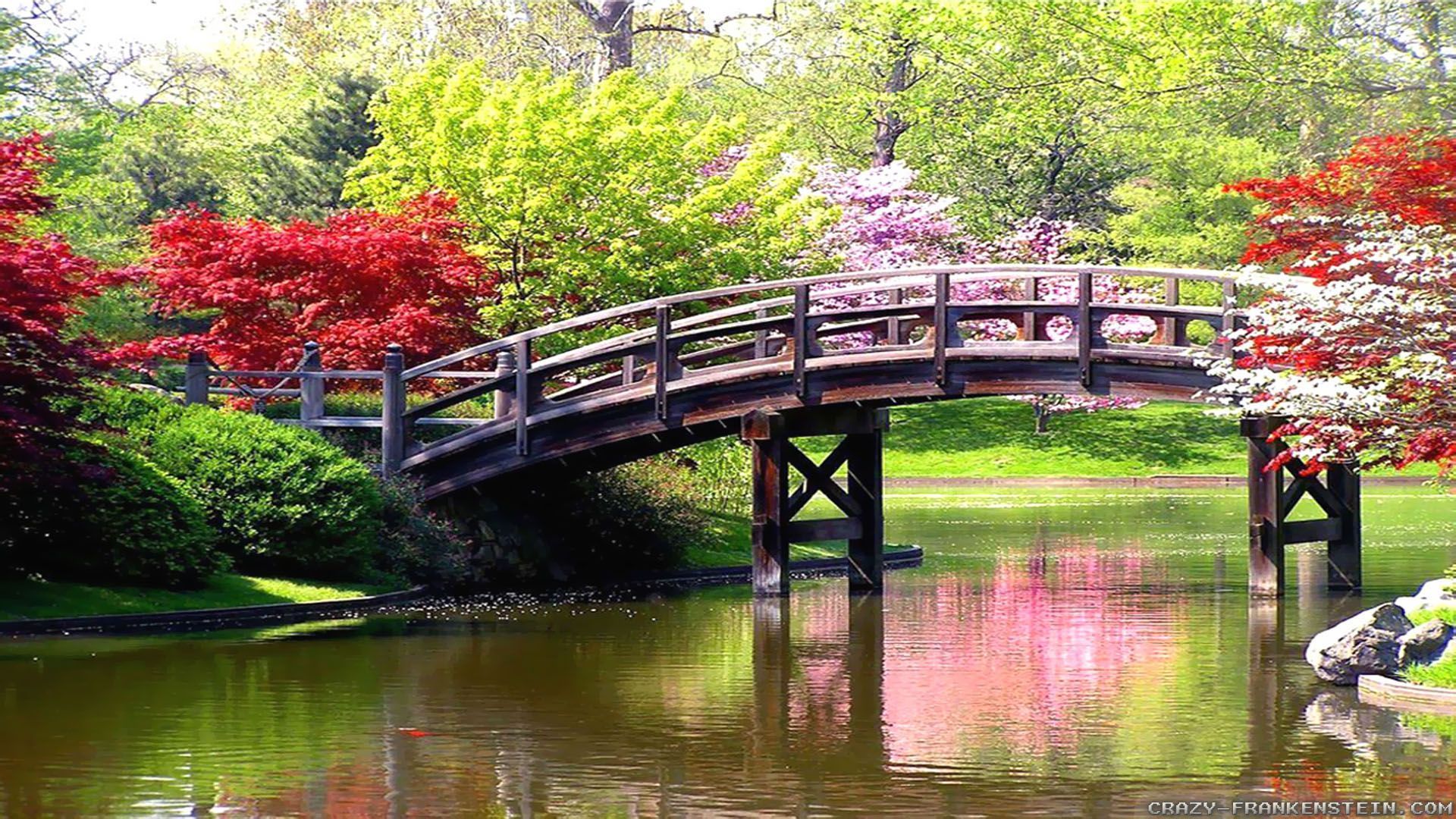 Bridge and Blooming Flower. Spring scenery, Spring picture