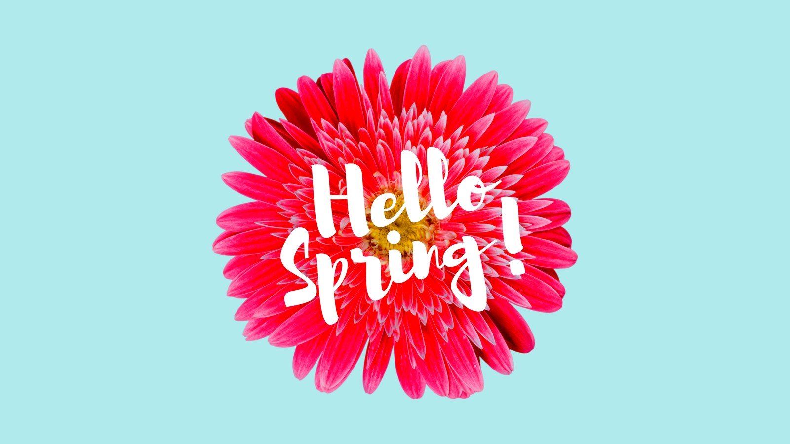 Minimalist Pastel Floral Script Spring Wallpaper