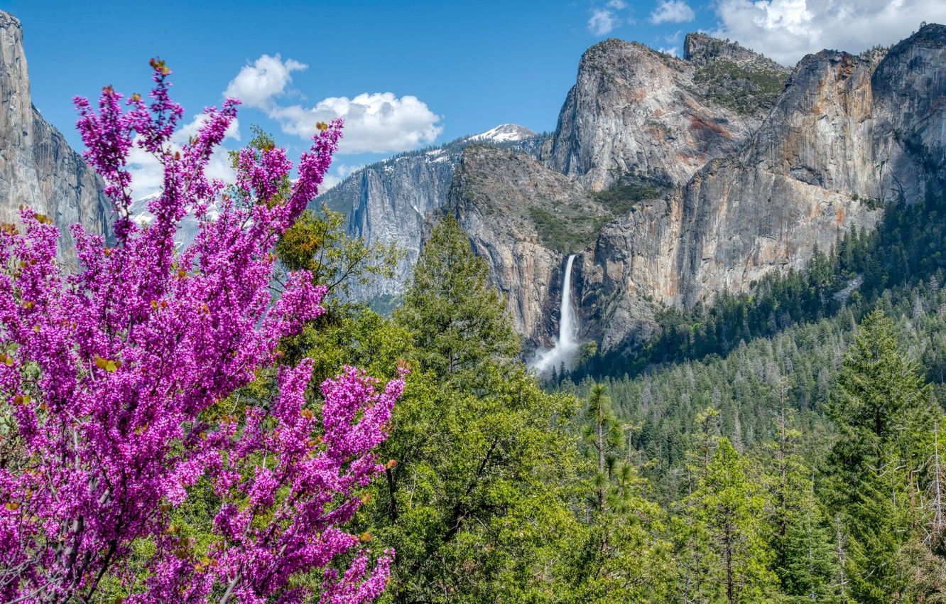 Wallpaper trees, mountains, waterfall, CA, California, Yosemite national Park, Yosemite National Park, Sierra Nevada, Sierra Nevada, Bridalveil Fall, The Bridal Veil Falls image for desktop, section пейзажи