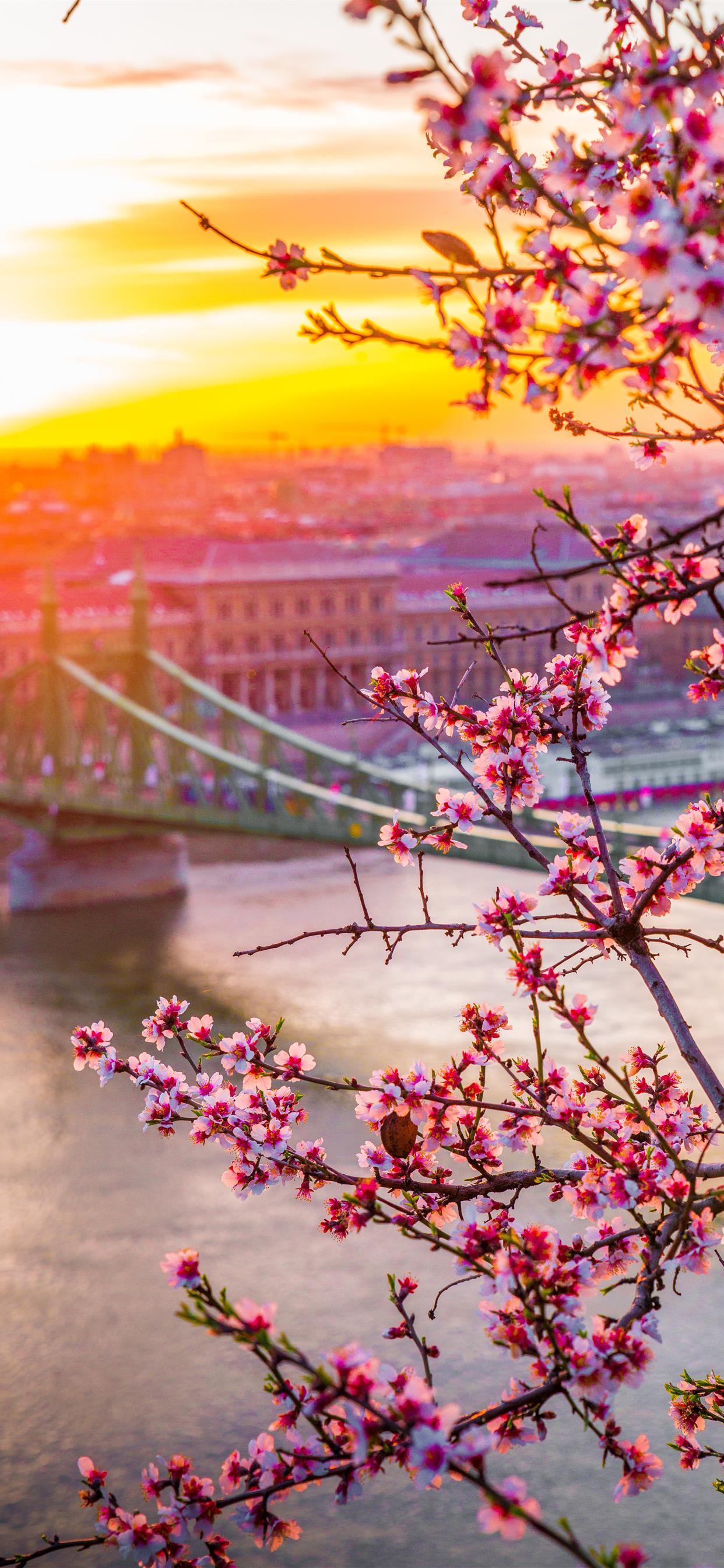 Liberty bridge in Hungary Spring edition iPhone X Wallpaper Free Download