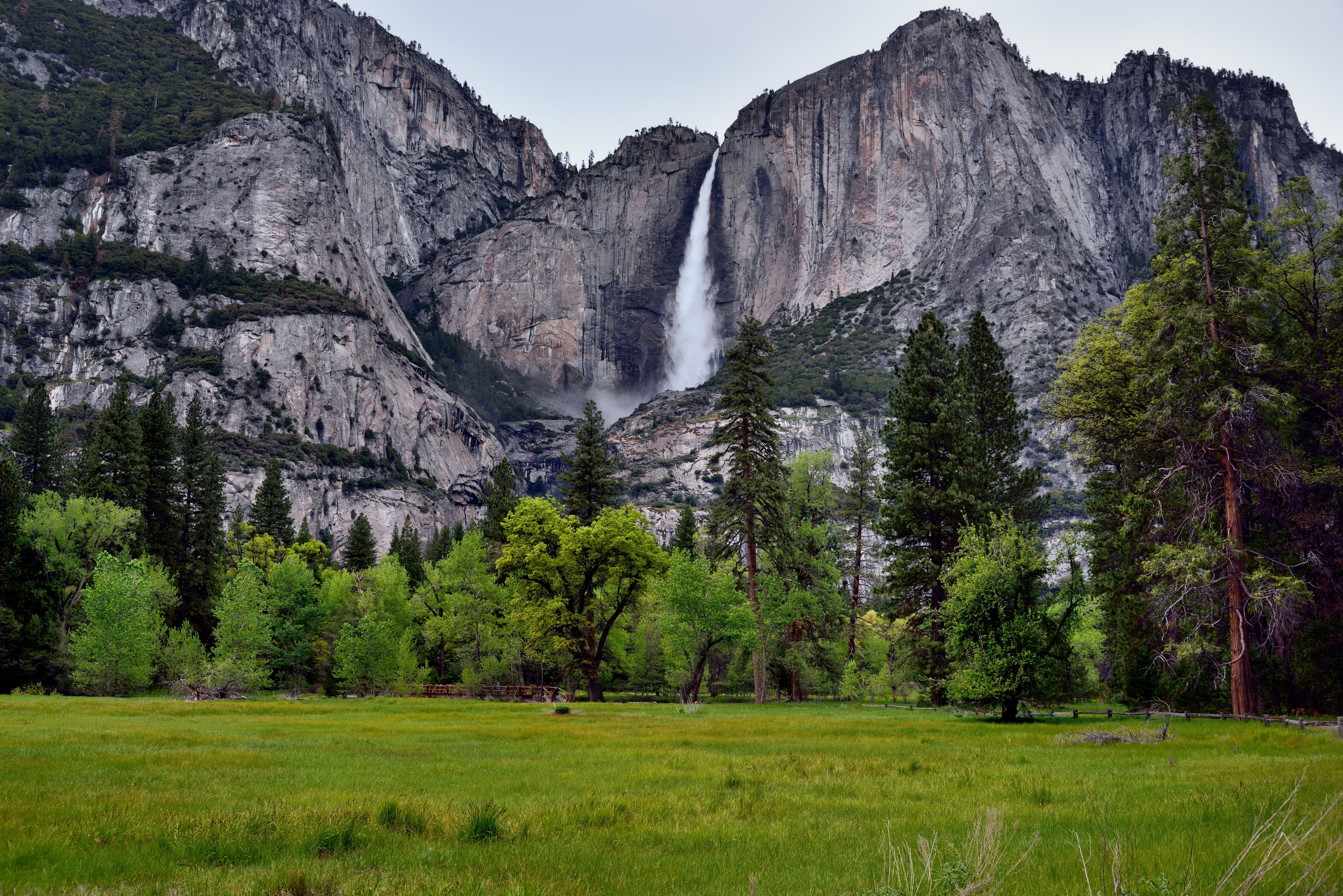 Landscape Photo Of Water Fall Near Green Trees During Daytime