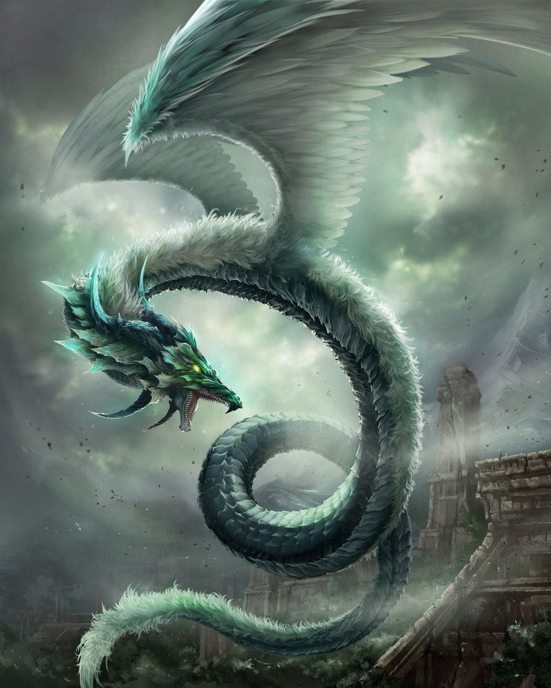 Wind Dragon Wallpaper Free Wind Dragon Background