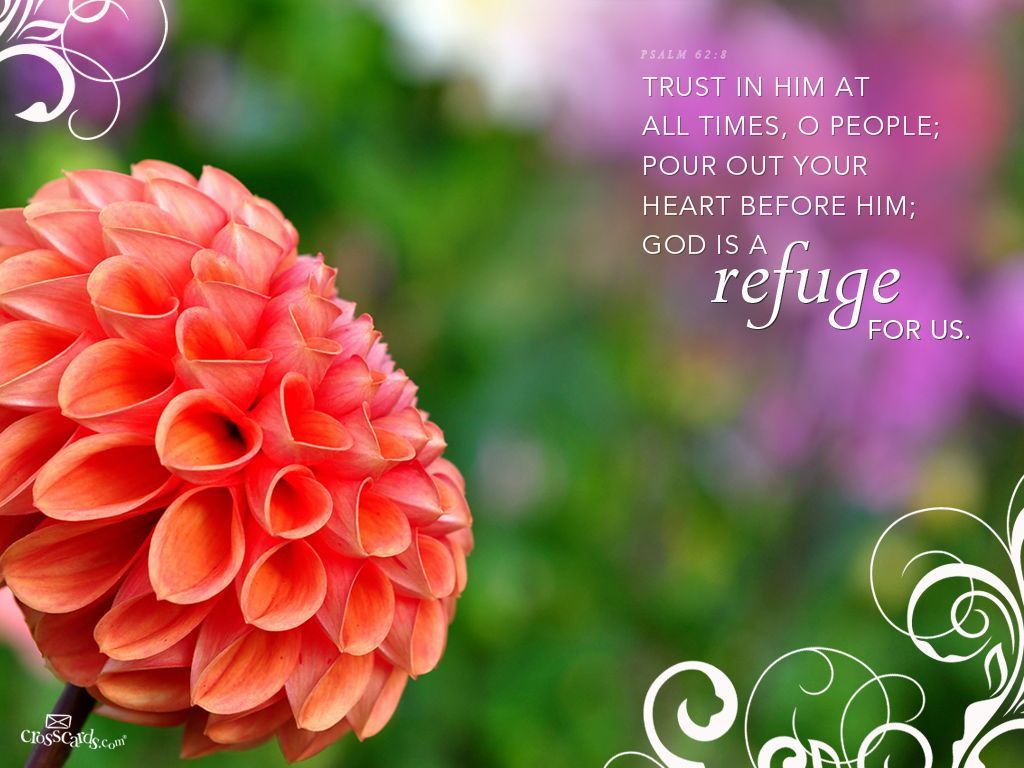 Refuge. Scripture wallpaper, Psalms, Bible verse desktop wallpaper