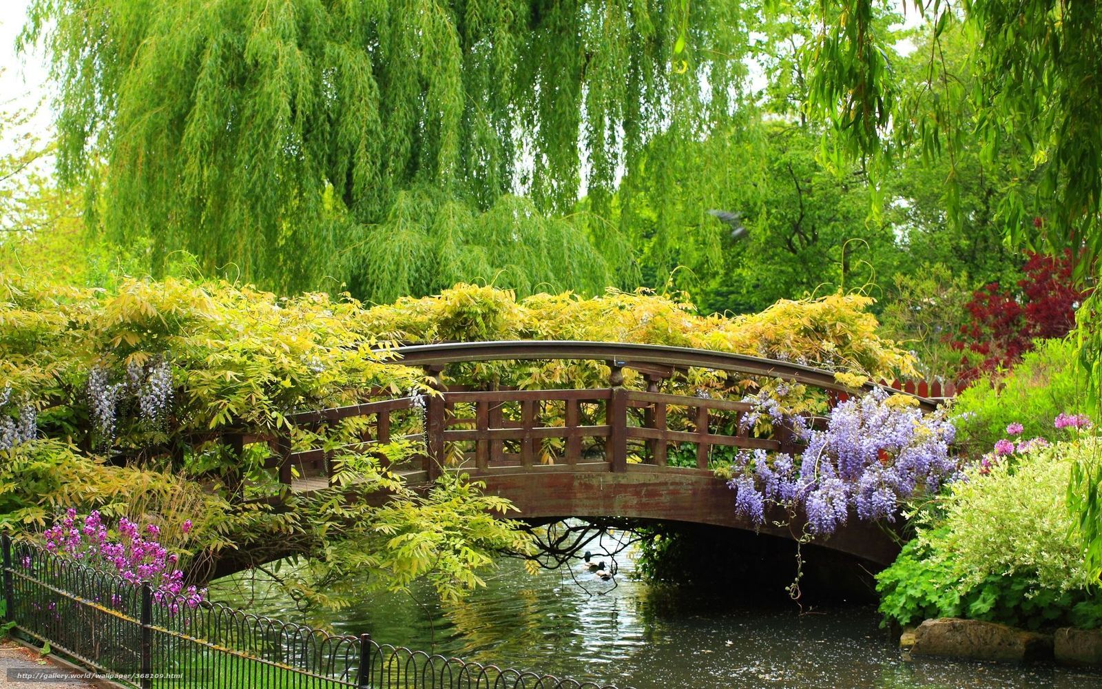 Wallpaper spring garden, bridge, park, beautiful, bridge, small