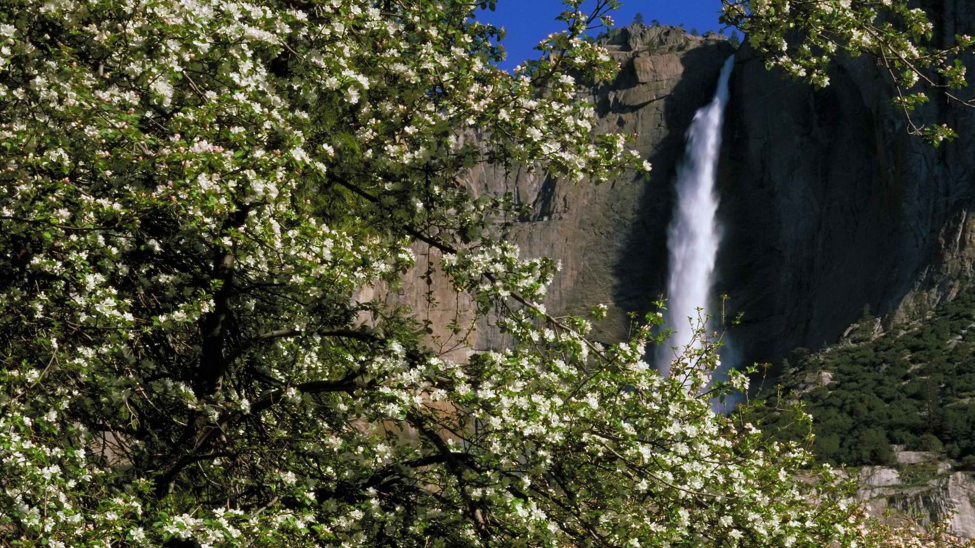 Spring (season) falls California Yosemite National Park wallpaper