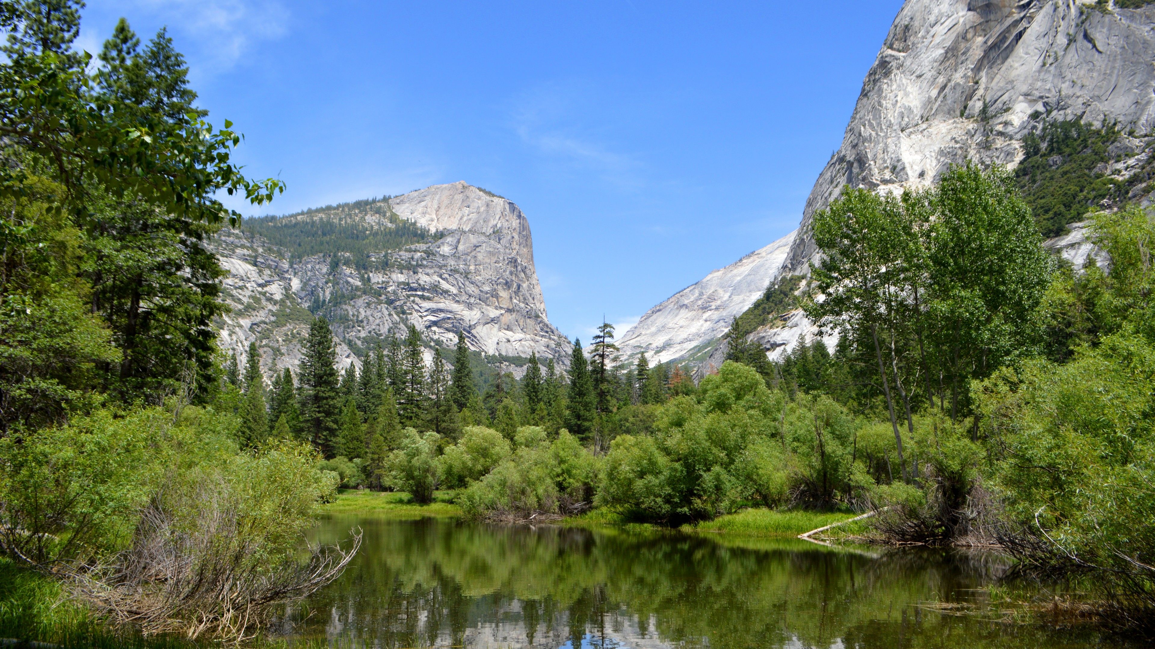 Wallpaper Yosemite, 5k, 4k wallpaper, 8k, forest, OSX, apple