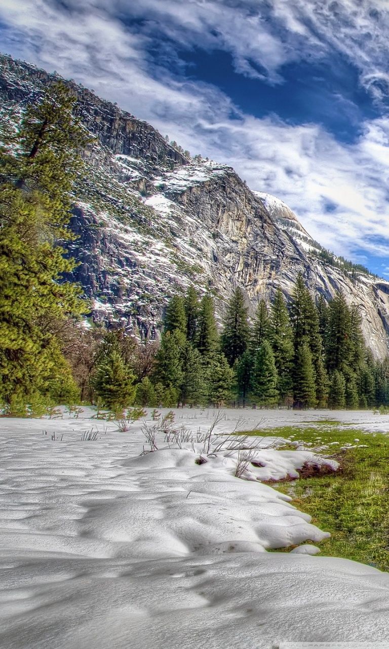 Yosemite Spring Grass Ultra HD Desktop Background Wallpaper