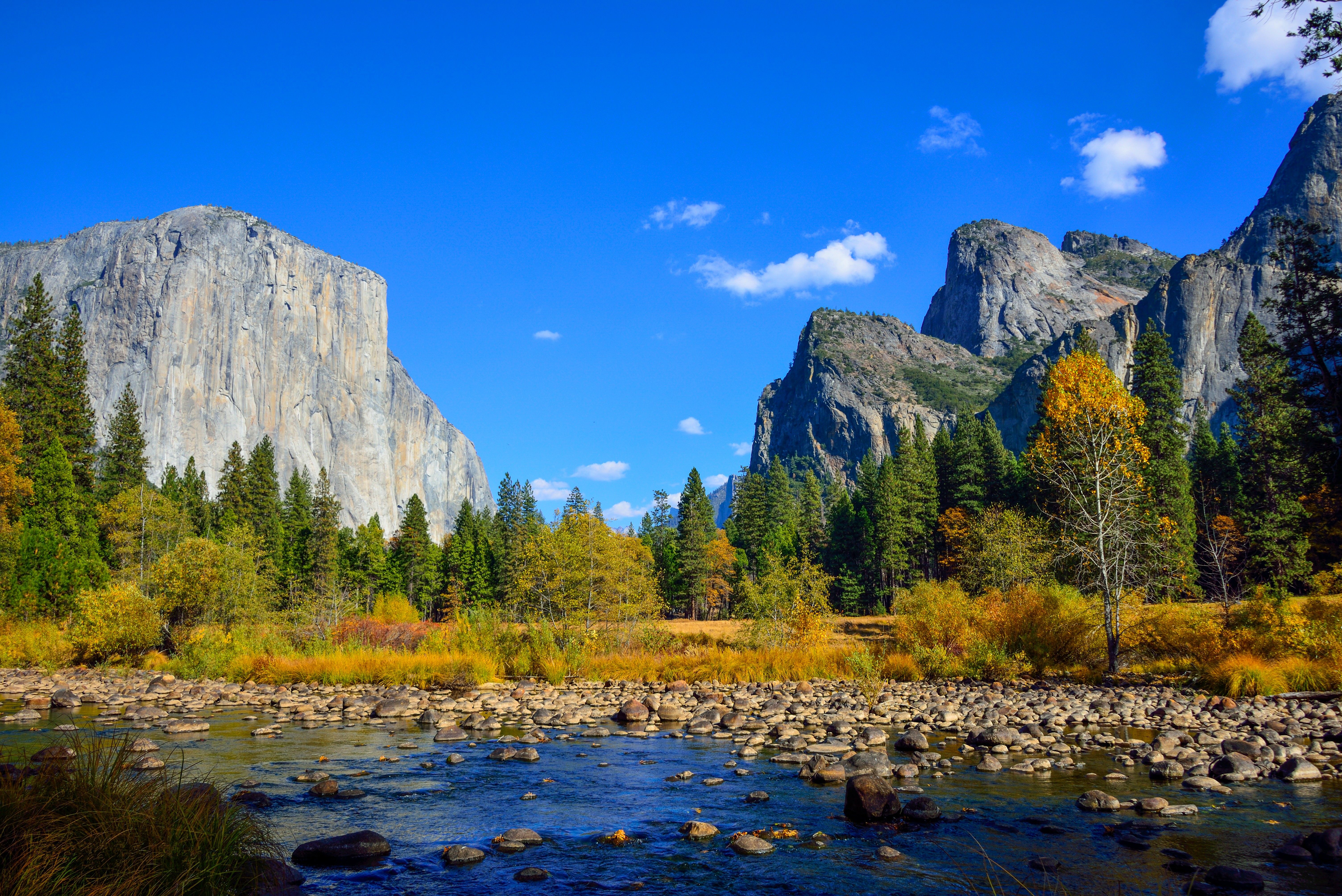 Yosemite Wallpaper, OS: Yosemite, 5k wallpaper, forest, OSX