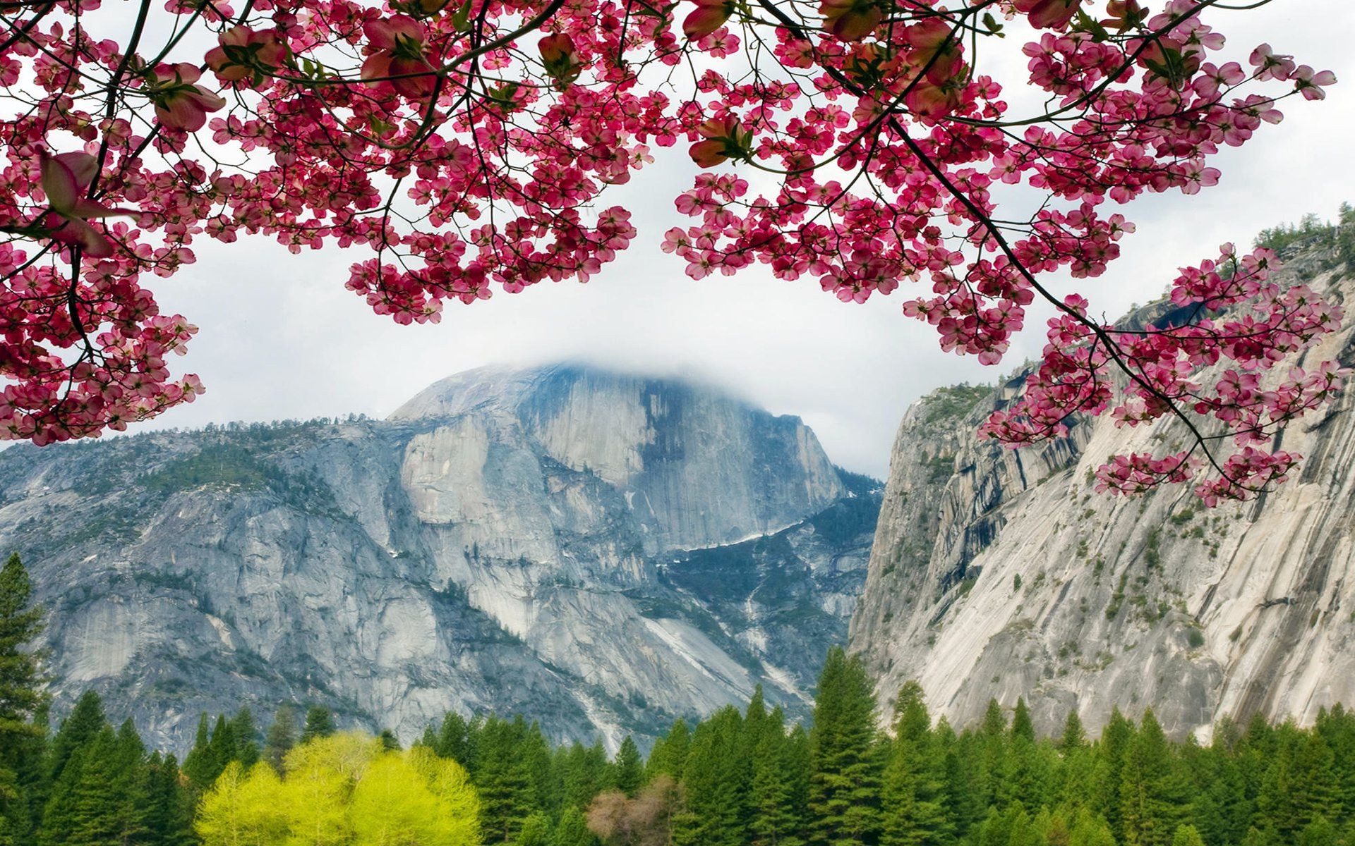 Springtime in Yosemite, California