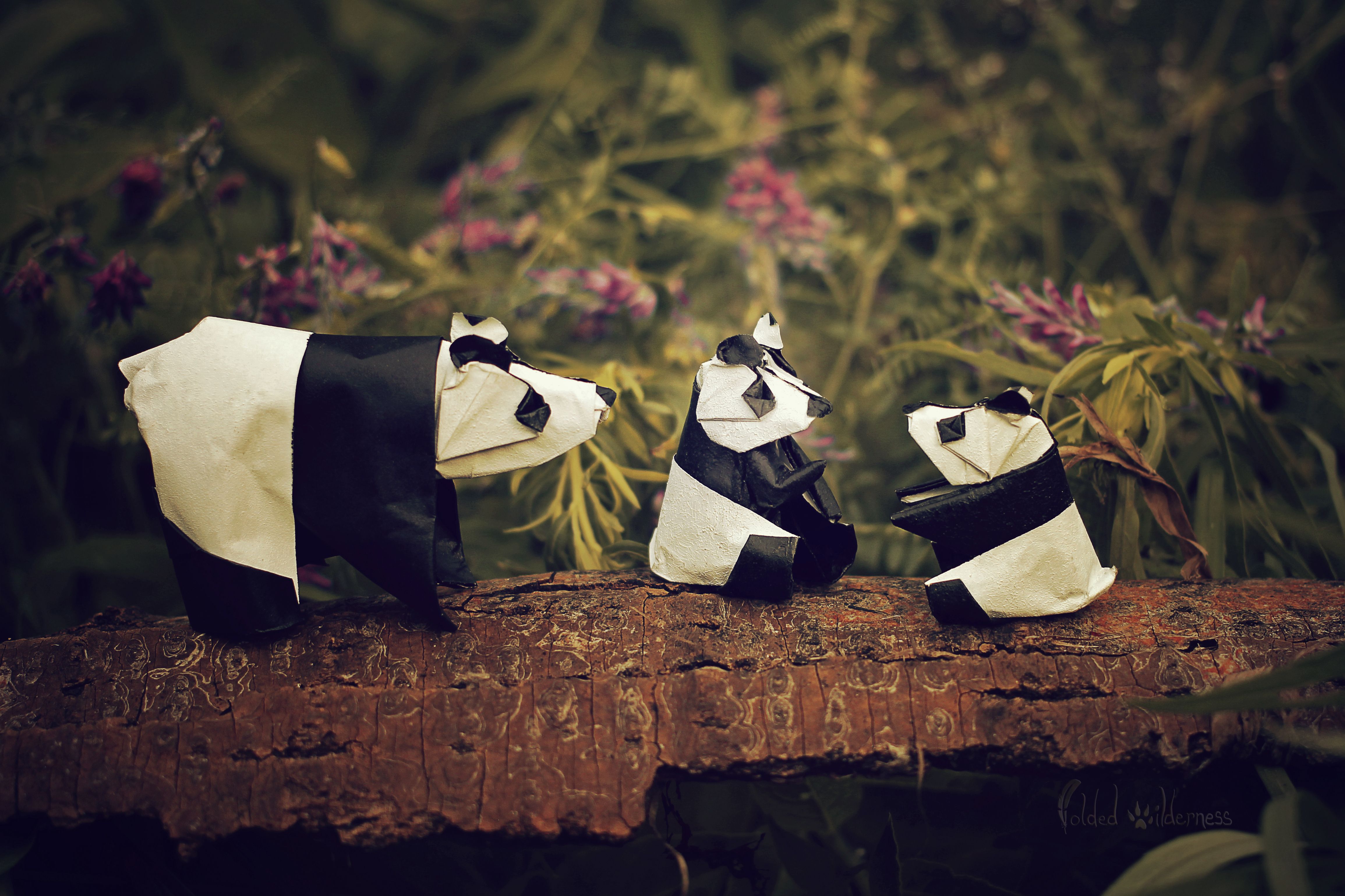 image Pandas Origami Paper Three 3 animal 4619x3079