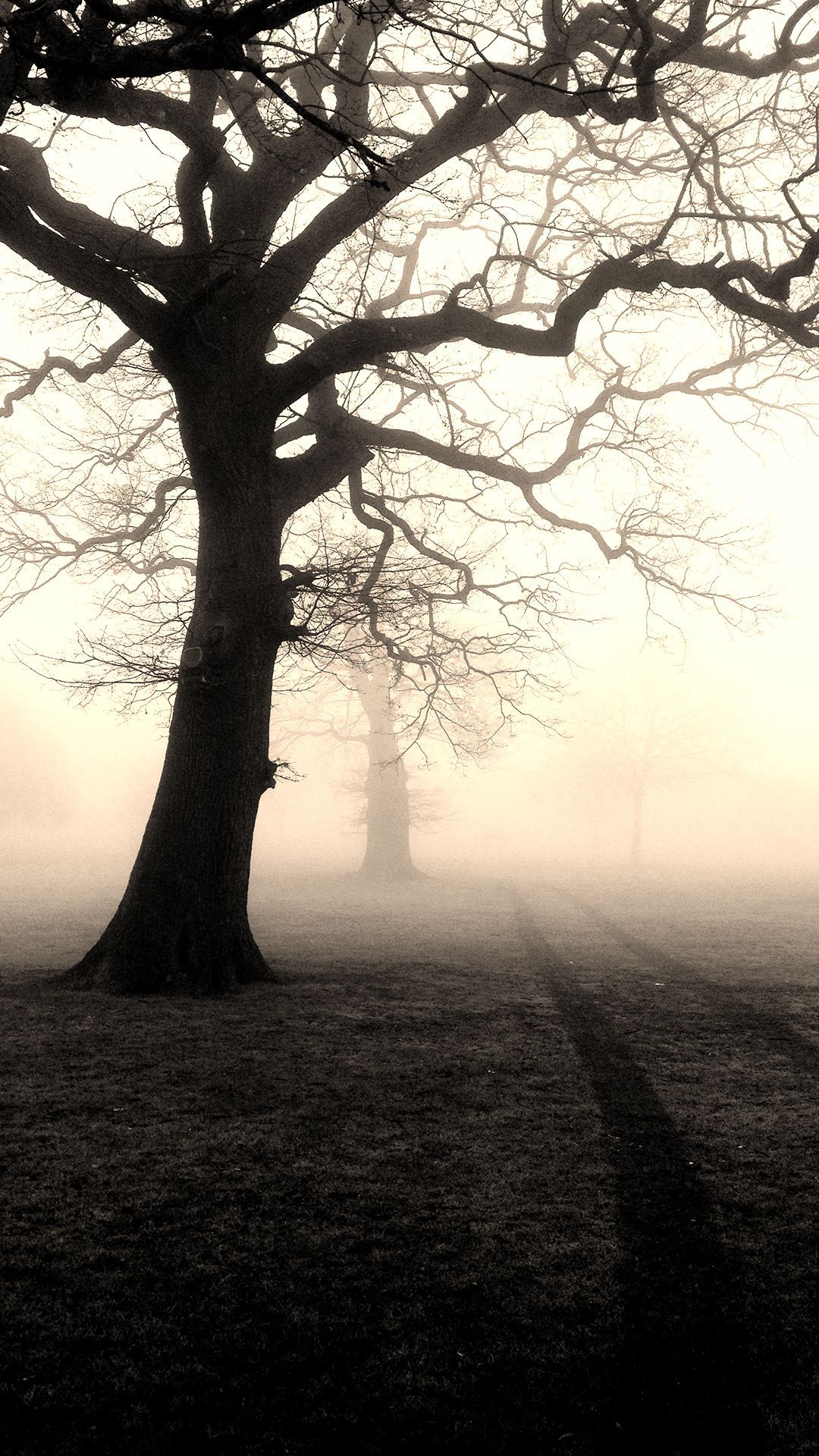 Creepy Phone Wallpapers - Wallpaper Cave