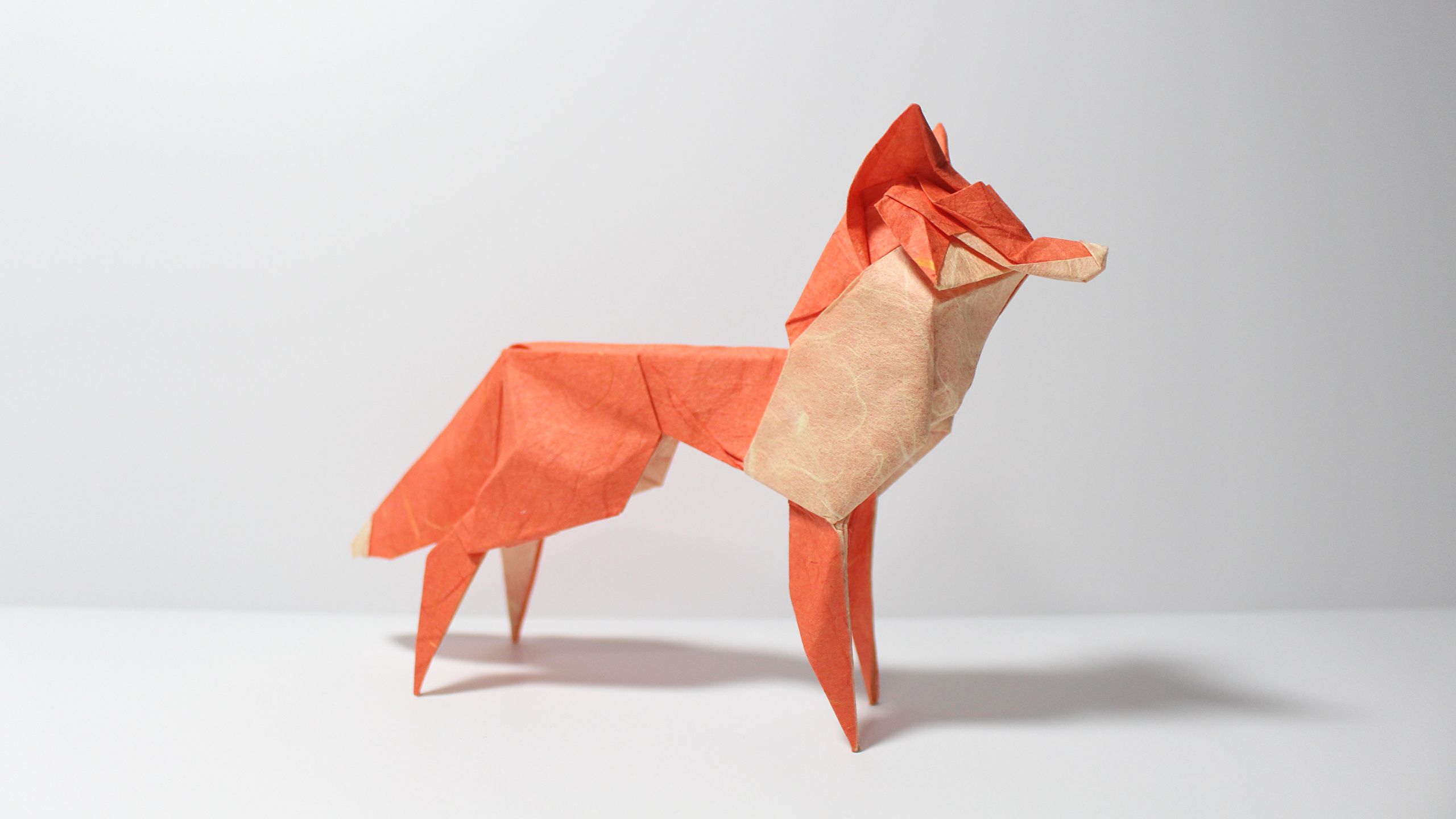 Wallpaper Foxes Origami Paper animal Gray background 2560x1440