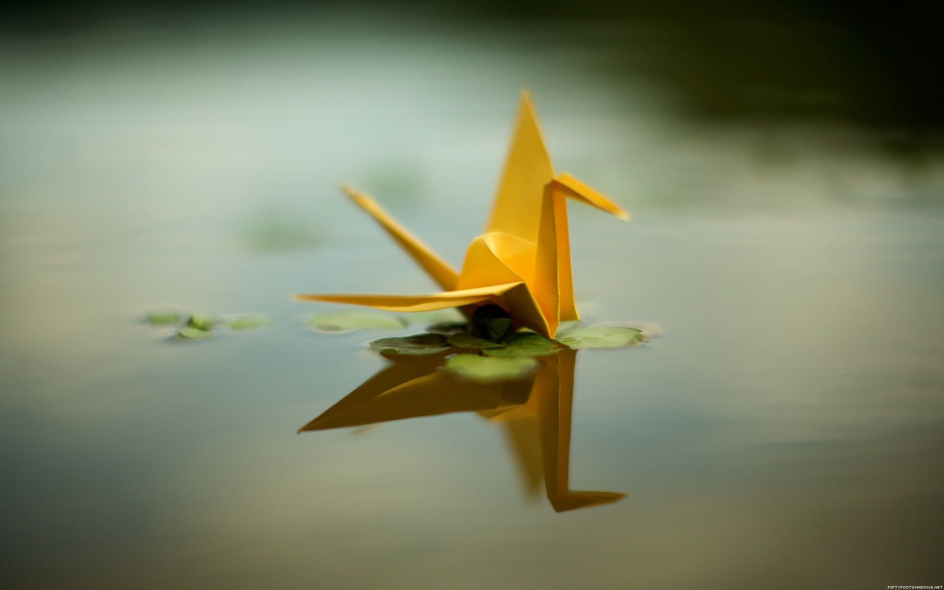 Brown swan origami, origami, paper cranes, reflection, water HD