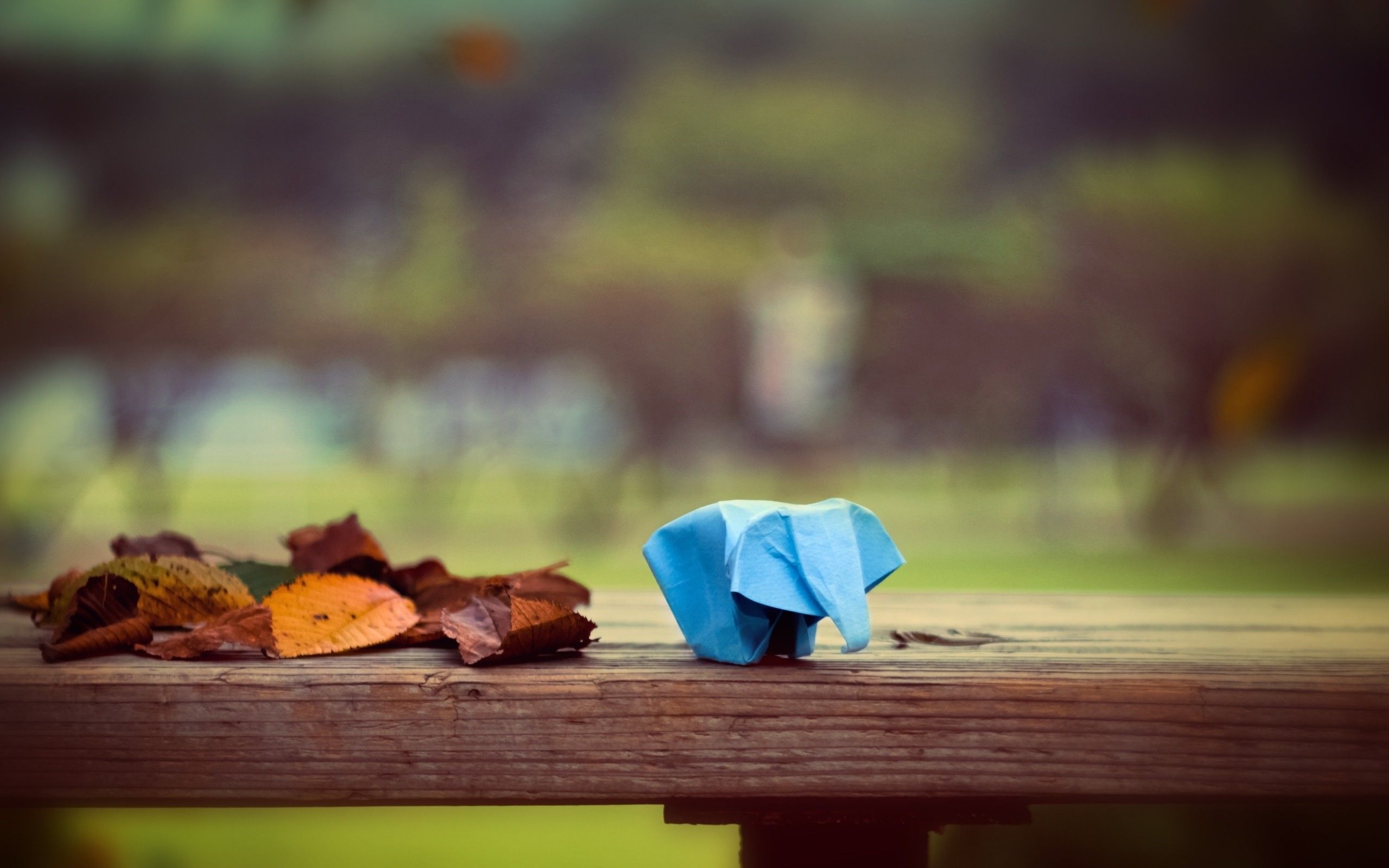 leaves, Fall, Depth Of Field, Animals, Origami, Elephants, Table