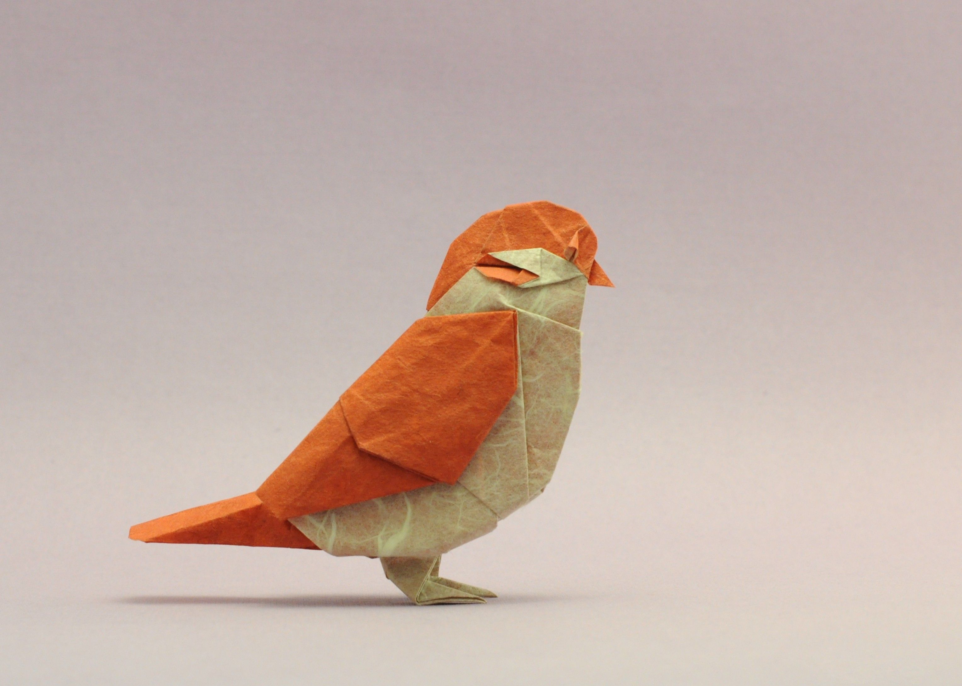 Bird Origami, HD Creative, 4k Wallpaper, Image, Background