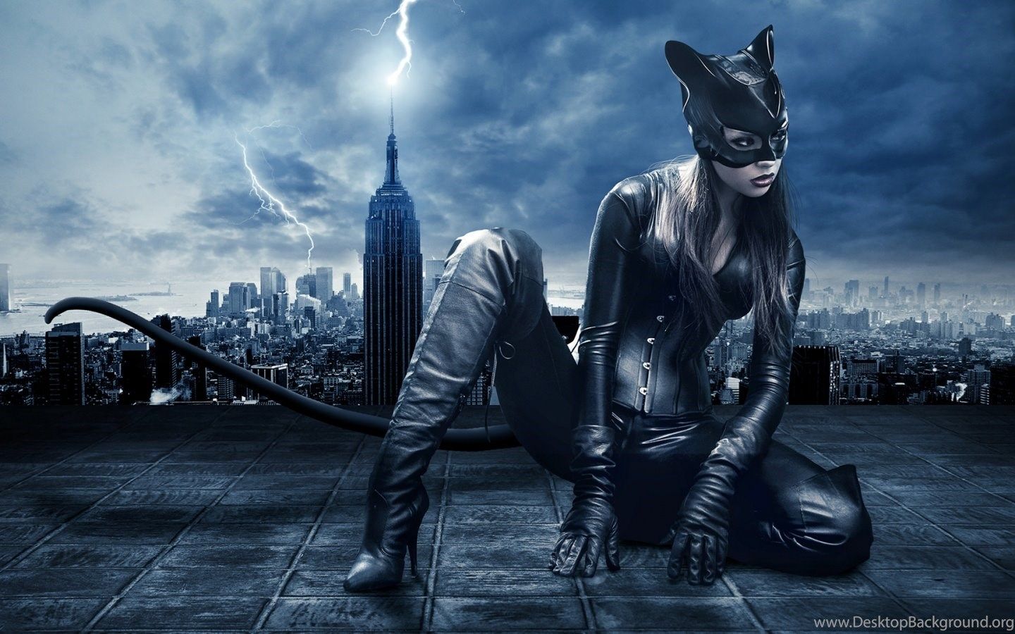 Catwoman Wallpaper HD Wallpaper Zone Desktop Background
