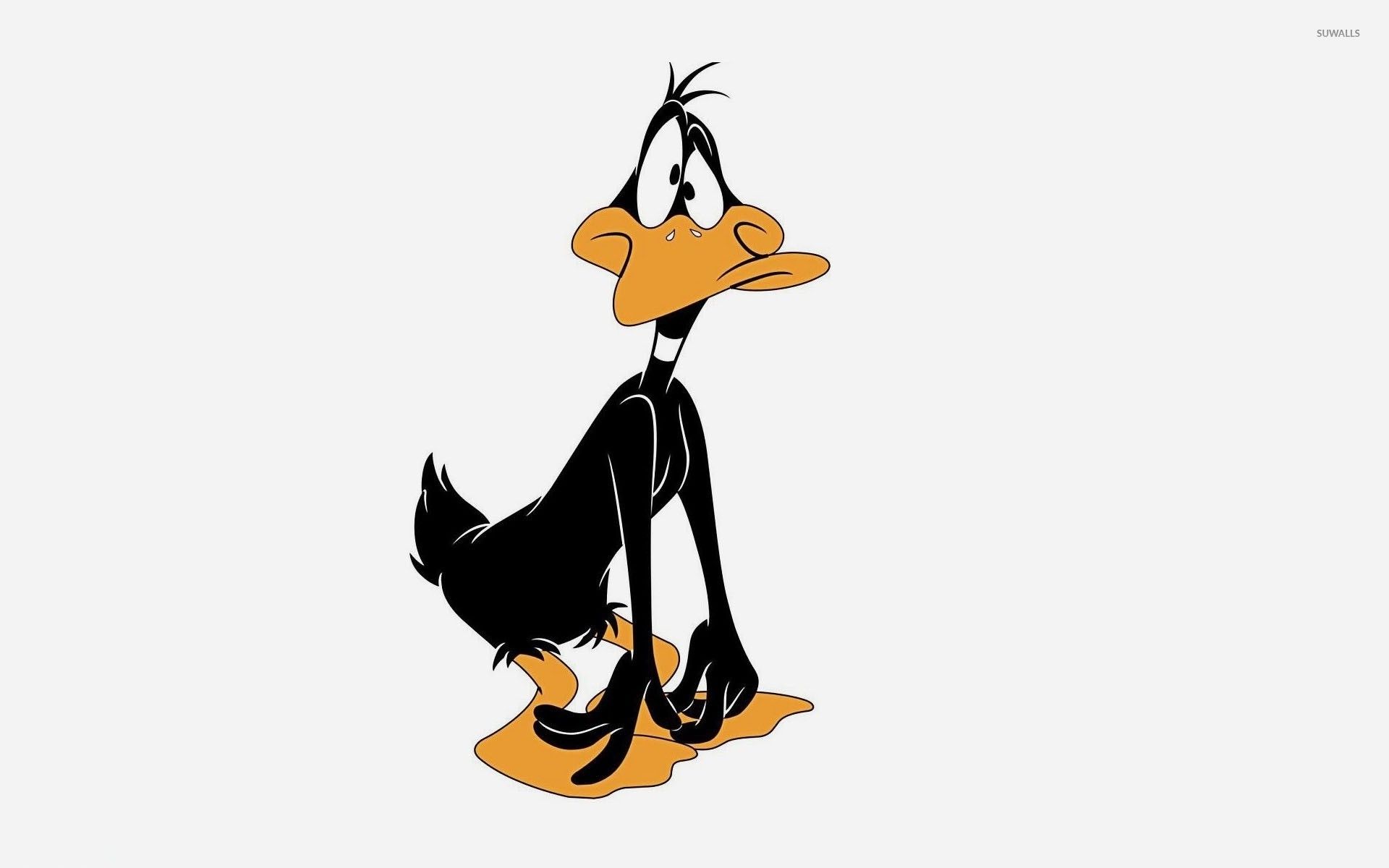 Sad and surprised Daffy Duck wallpaper wallpaper