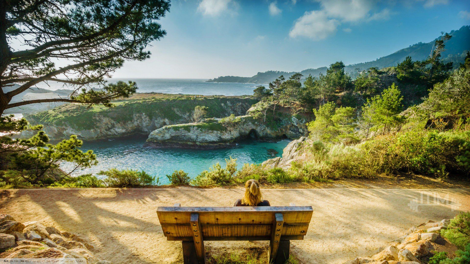 Girl Sitting On Bench, HD Girls, 4k Wallpaper, Image