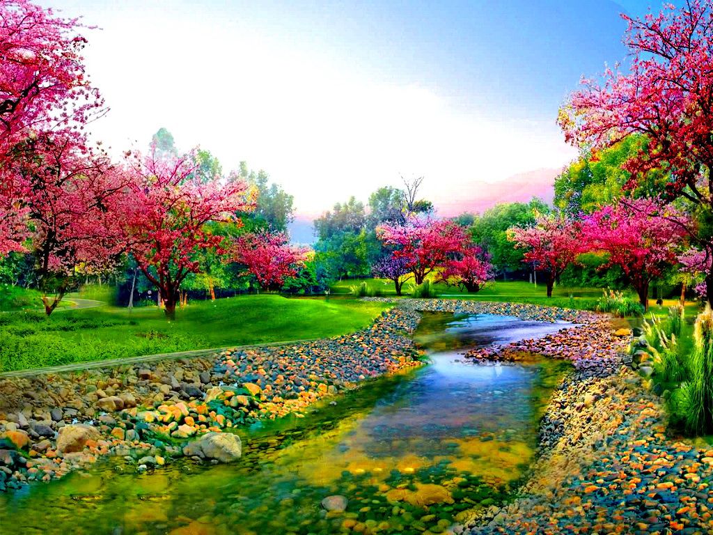 Free download Spring trees along the river wallpaper