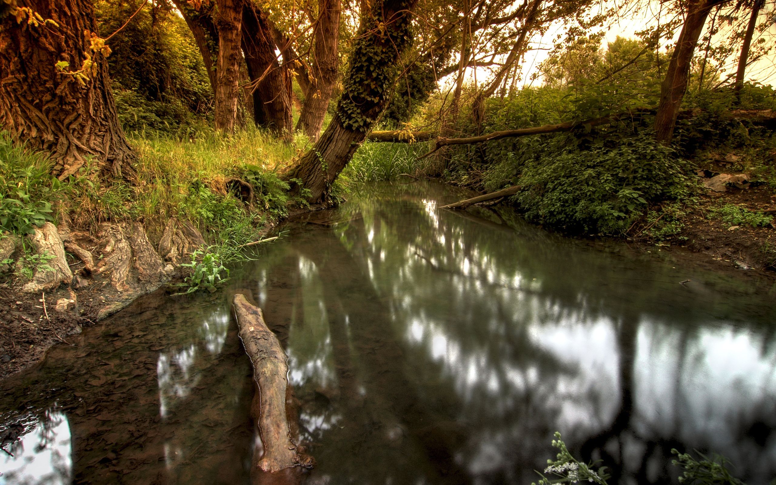 Spring Creek Wallpapers Wallpaper Cave