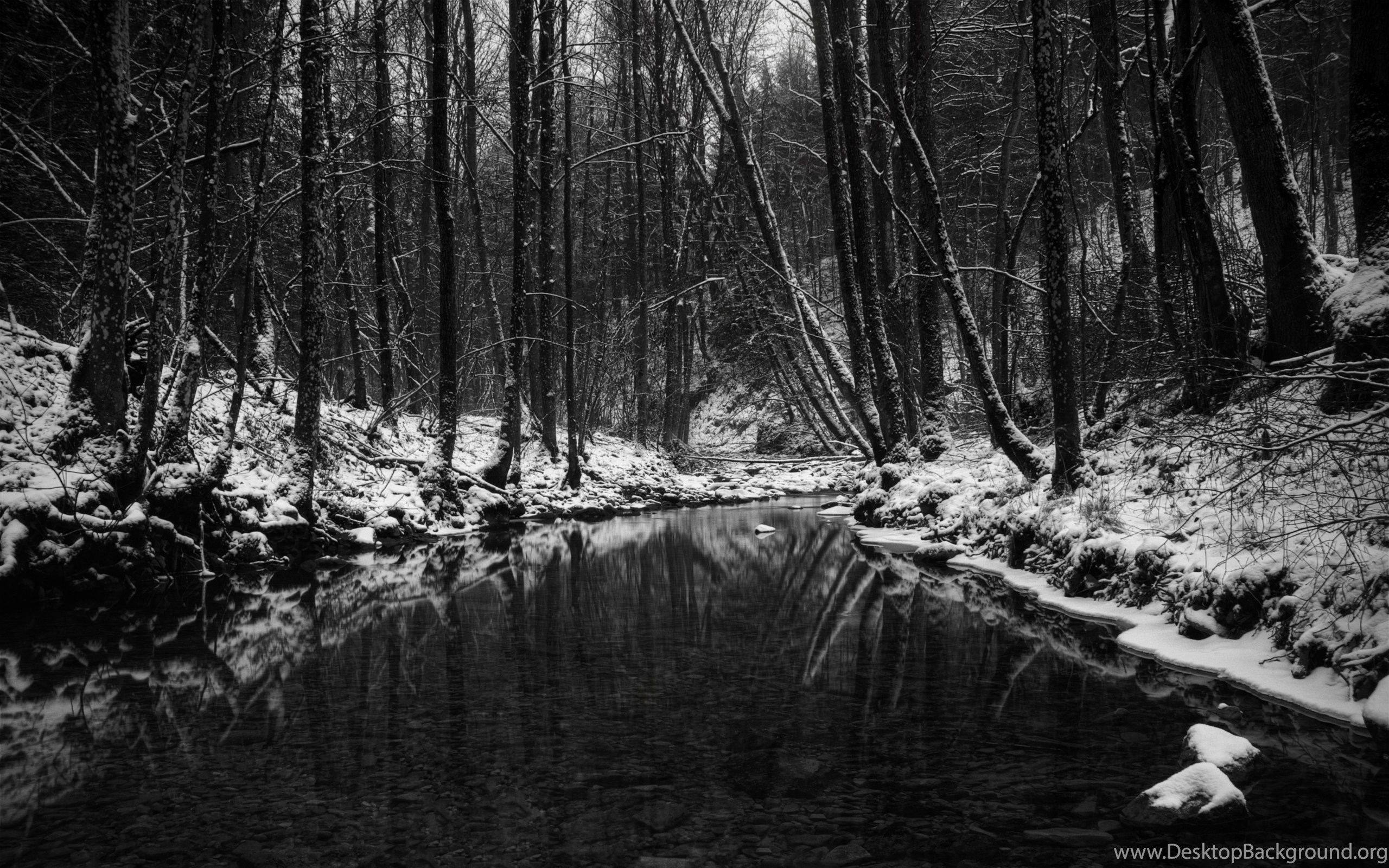 Gloomy Spring Creek In The Woods Wallpaper And Image. Desktop