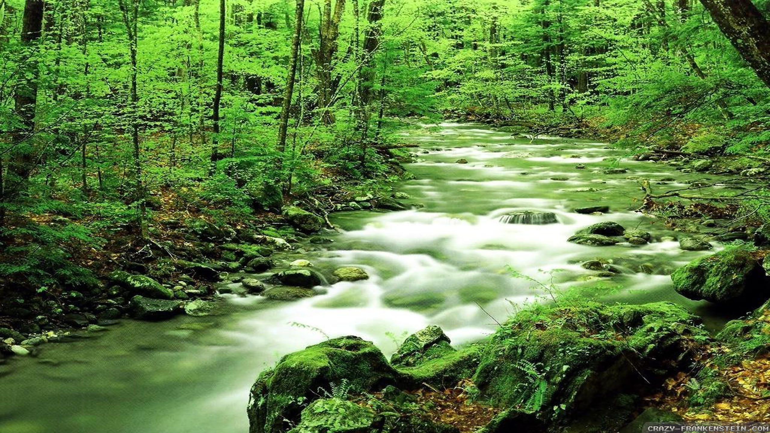 River In Spring Wallpapers - Wallpaper Cave