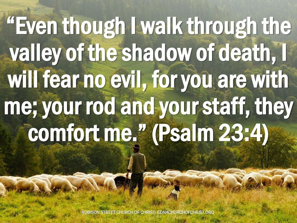 The Lord Is My Shepherd Psalm 23: ppt download