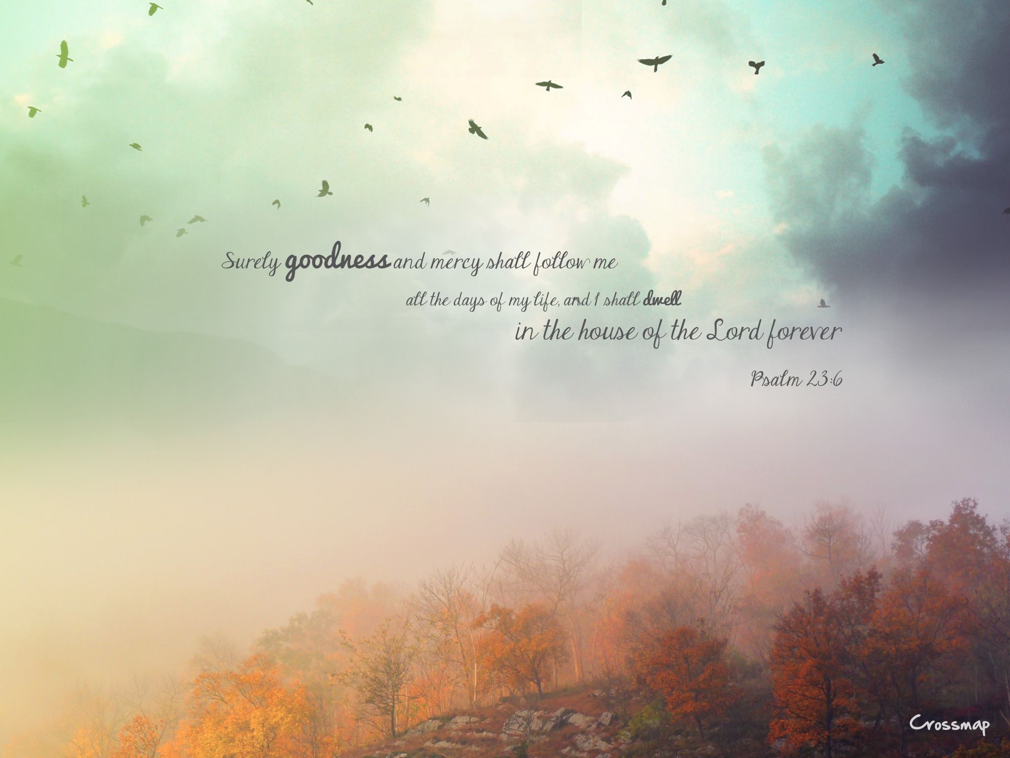 Surely goodness and mercy shall follow me