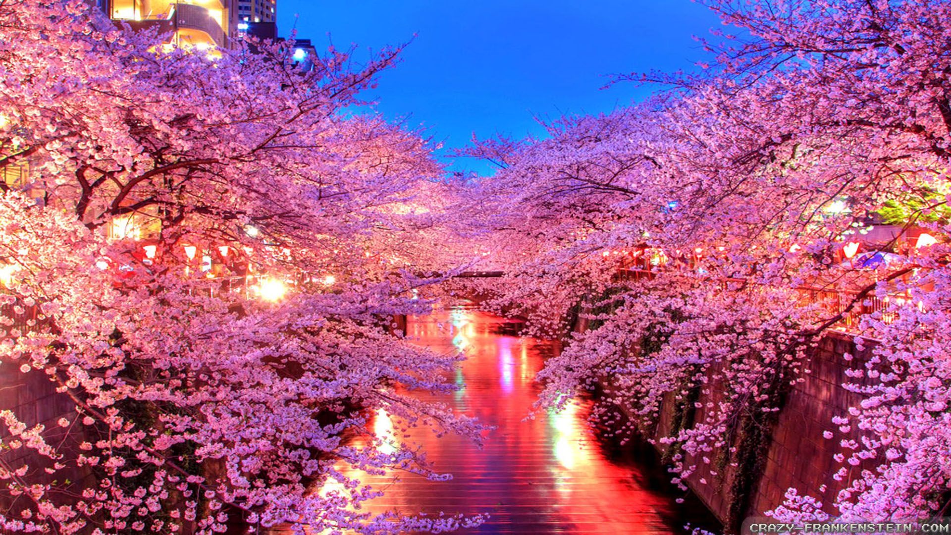 Spring In Japan Wallpaper In Japan Wallpaper