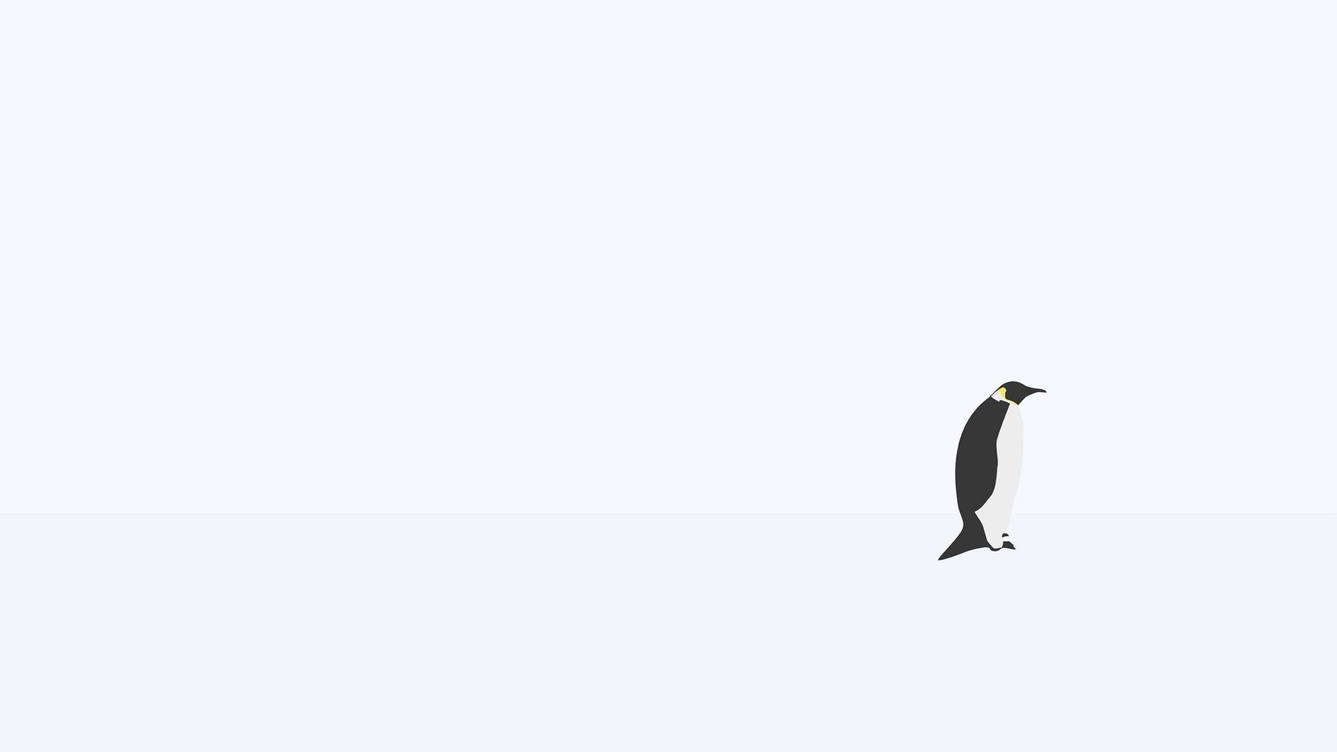 Download wallpaper 1920x1080 penguin, minimalism, snow full HD