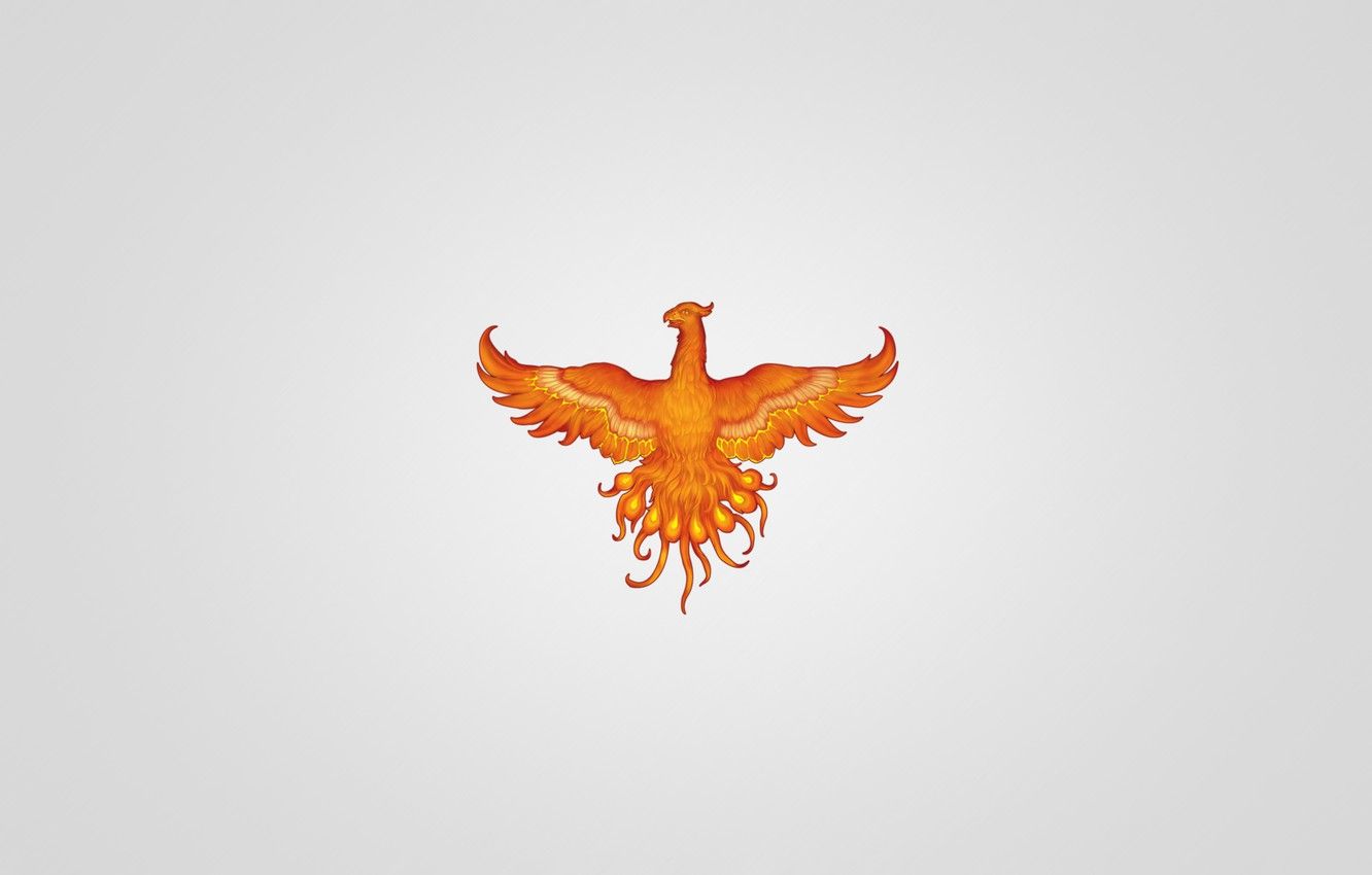 Wallpaper bird, minimalism, light background, red, Phoenix, phoenix, fenix image for desktop, section минимализм
