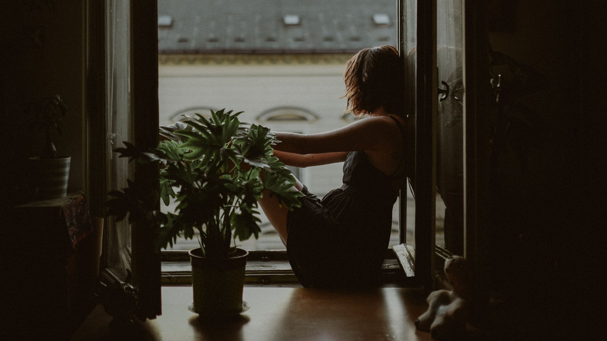 Girl Window Sits Flower desktop PC and Mac wallpaper