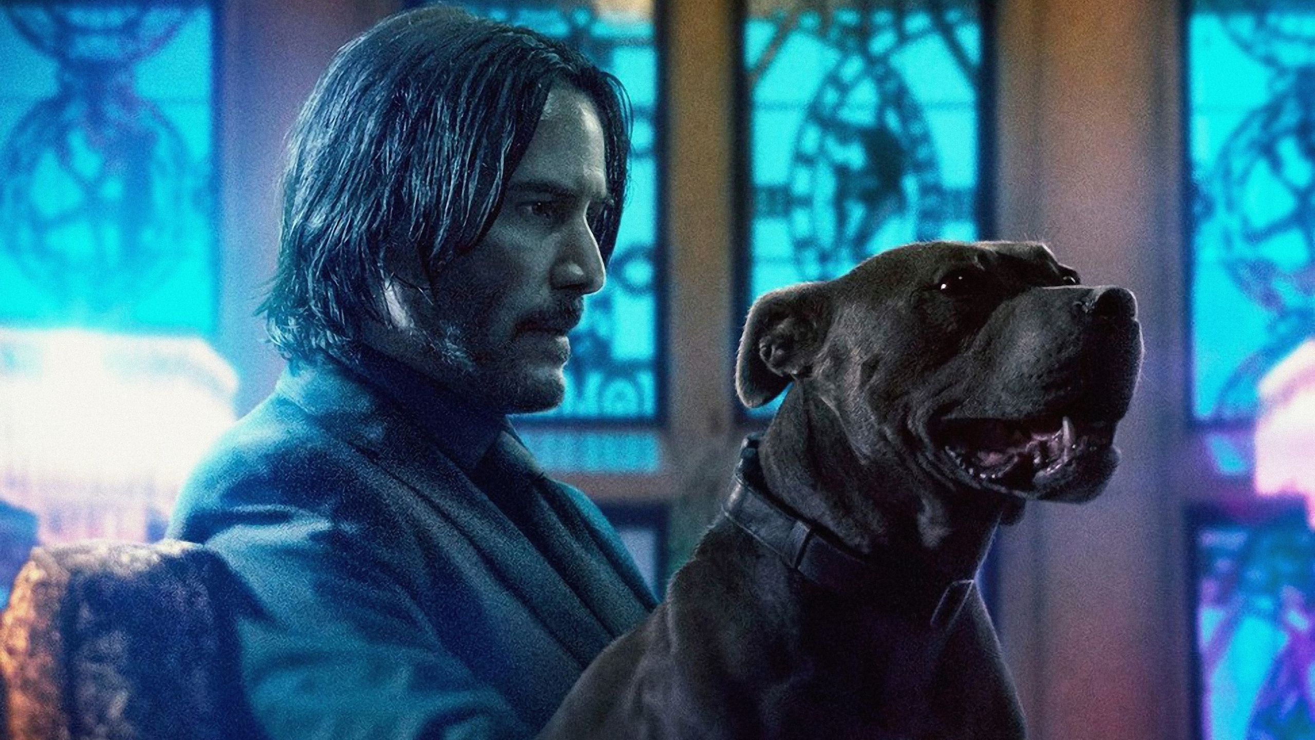 John Wick Chapter 3 1440P Resolution Wallpaper, HD Movies 4K Wallpaper, Image, Photo and Background