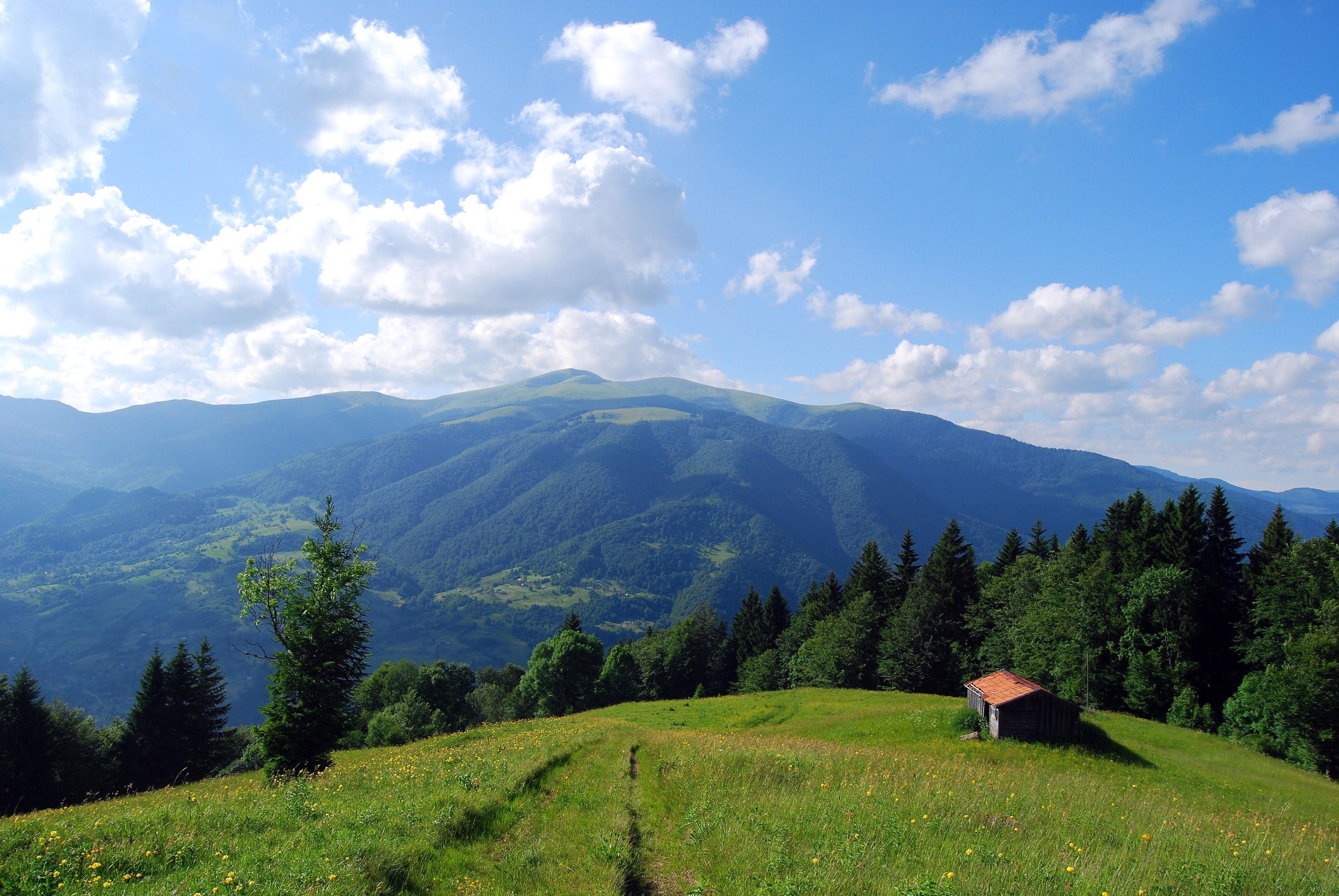 mountains, Carpathians, House, Field, Landscape Wallpaper HD