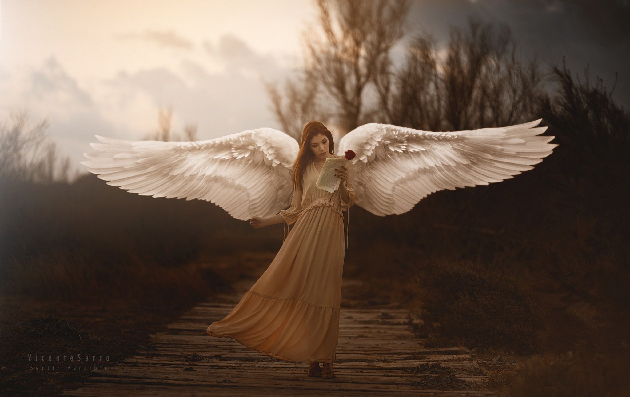 Girl With Wings Angel 800x480 Resolution HD 4k Wallpaper