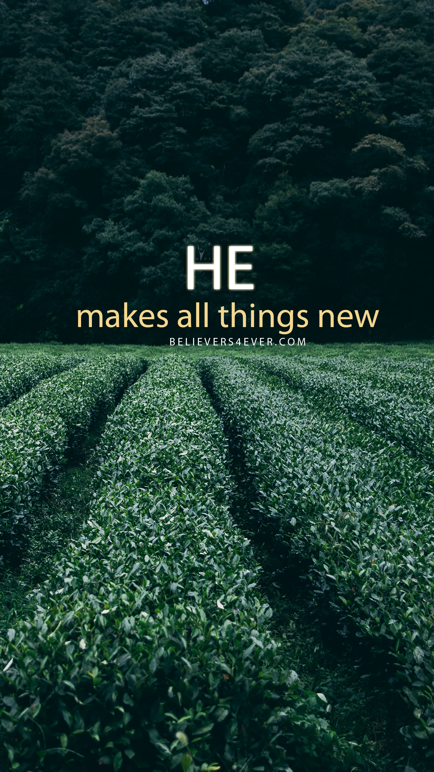 He makes all things new. Wallpaper bible, Christian iphone wallpaper, Christian wallpaper