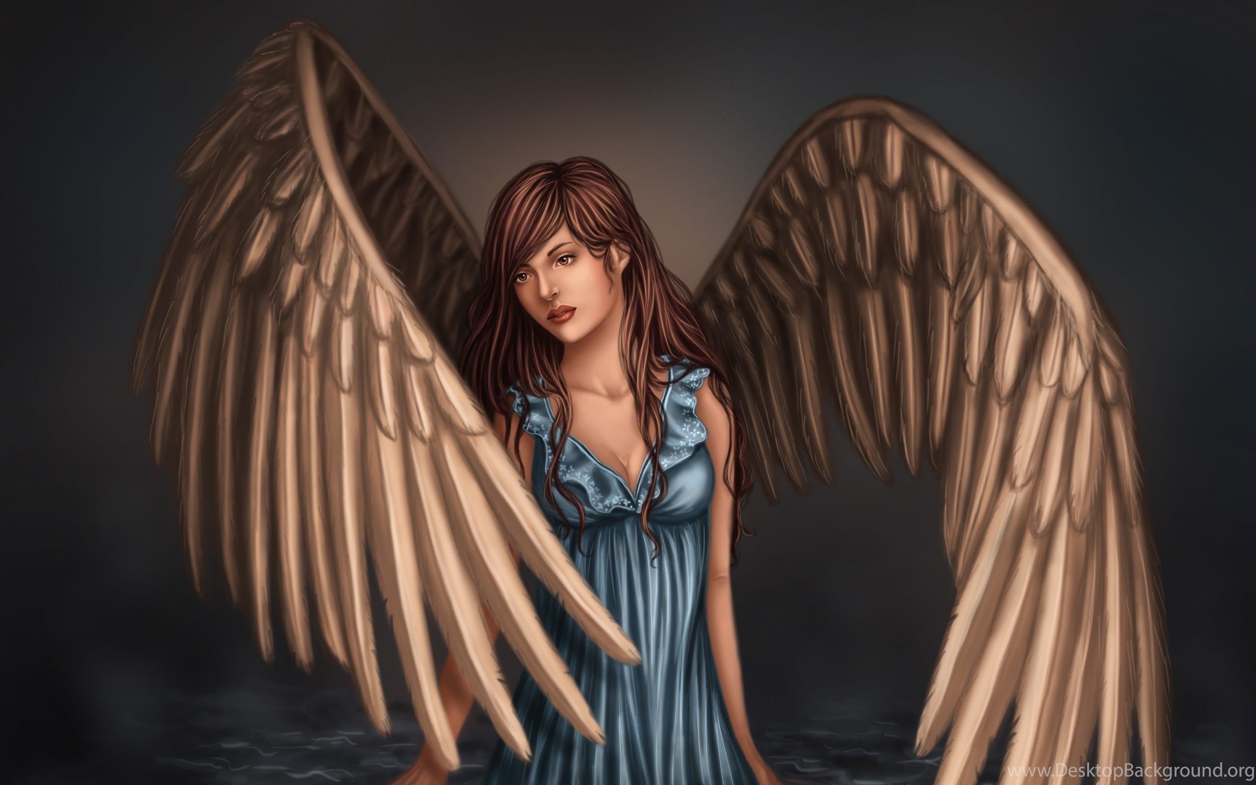 Angel Girl With Wings HD Wallpaper For Desktop & Mobile Desktop
