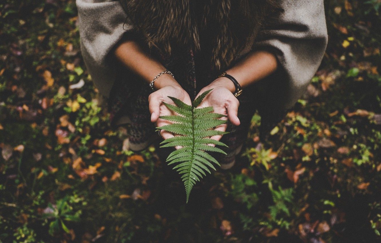 Wallpaper girl, girls, nature, autumn, leaves, macro, blur, leaf