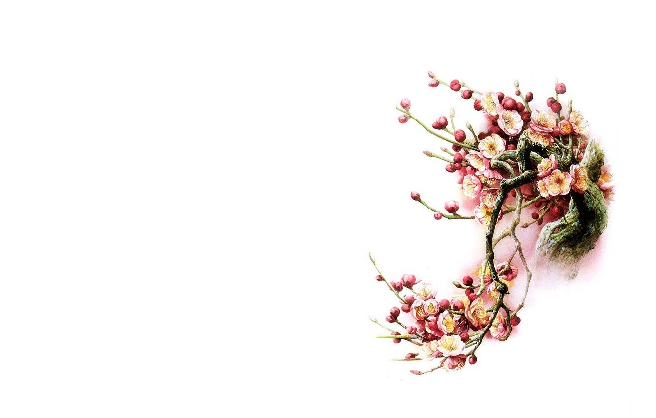 Free download Wallpaper flowers bird minimalism spring East Sakura