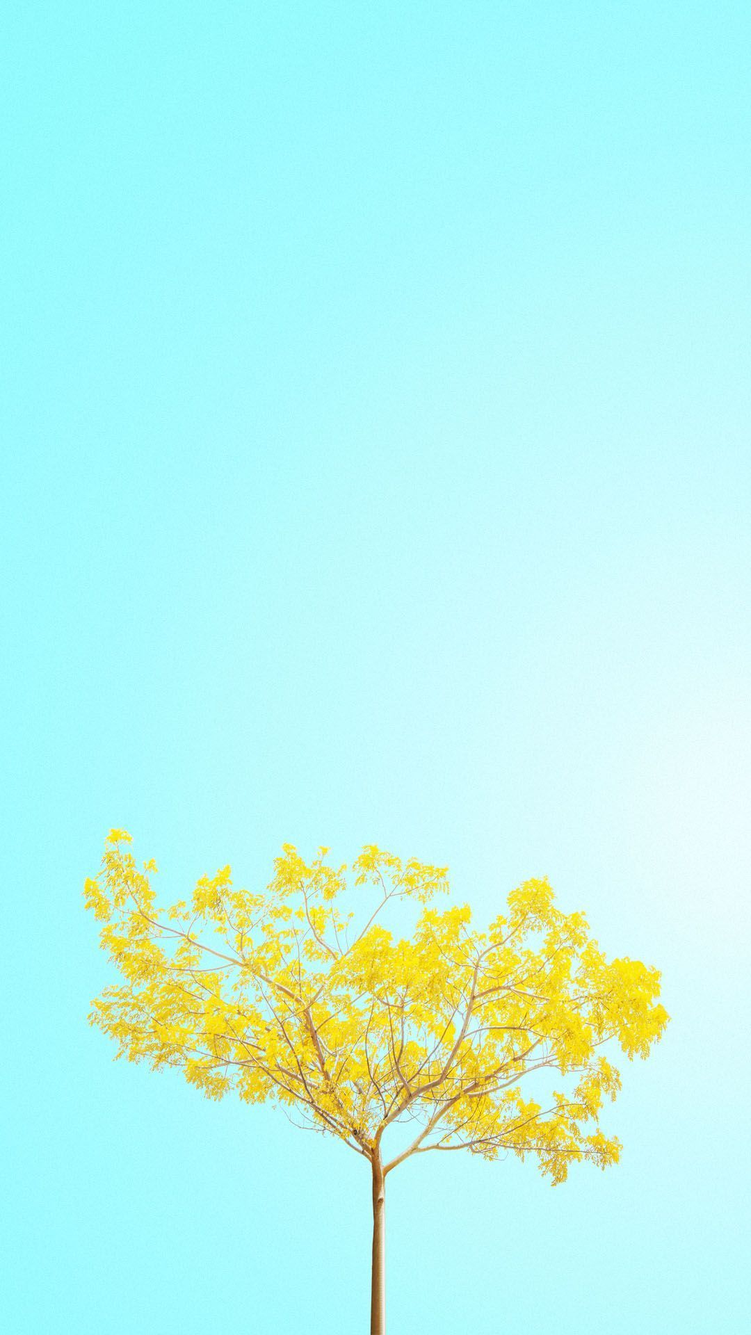 Minimalist Spring Wallpaper HD Free download. Phong cảnh, Hình