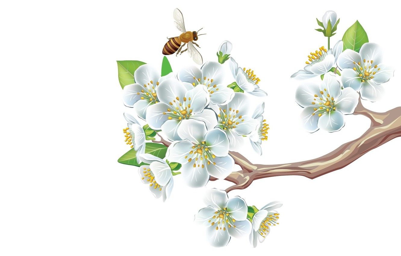 Wallpaper mood, minimalism, spring, art, bee, Apple, flowering image for desktop, section минимализм