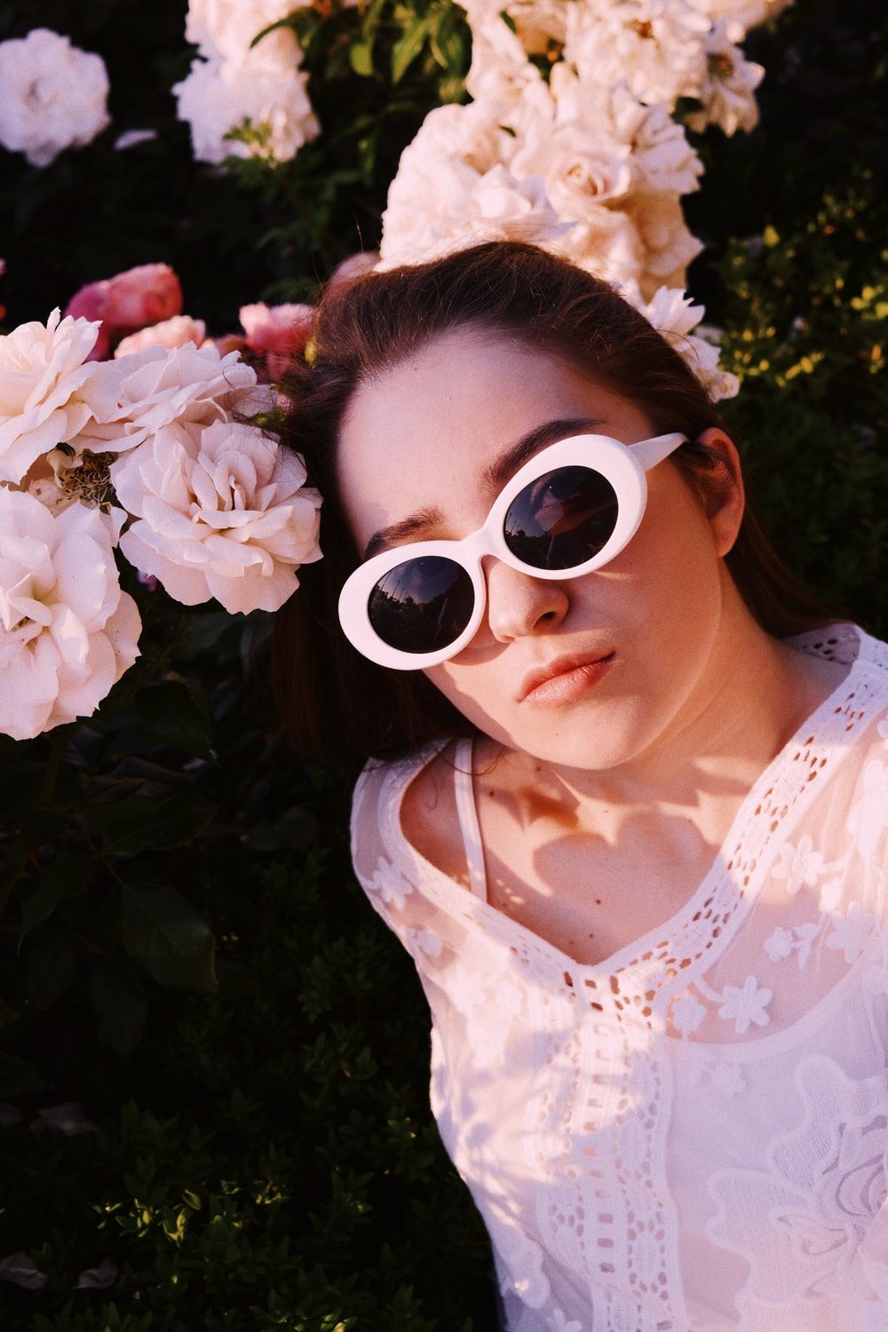 Peonies In A Vase Picture. Download Free Image