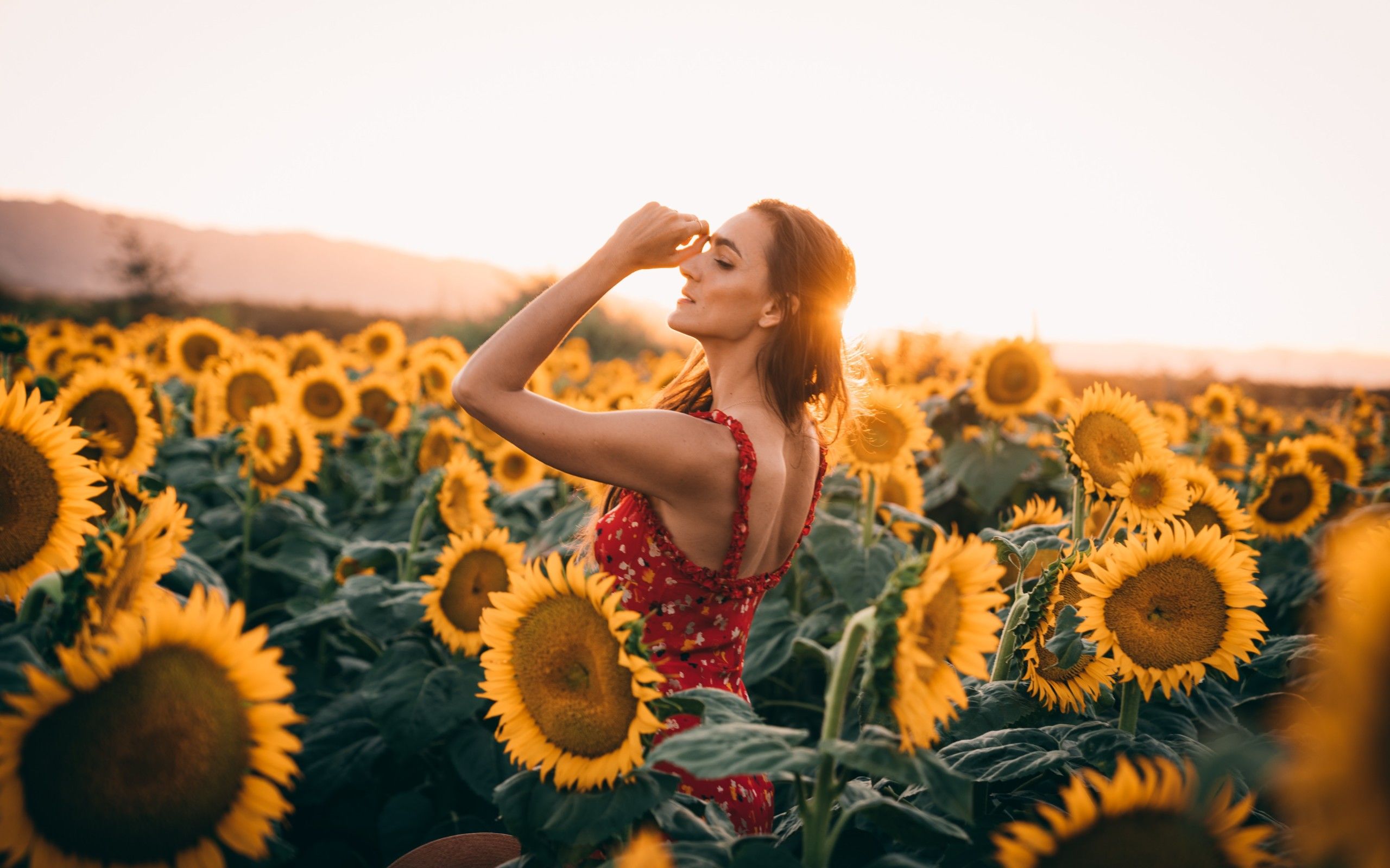 Sunflowers Field Dress Women 4k 2560x1600 Resolution HD